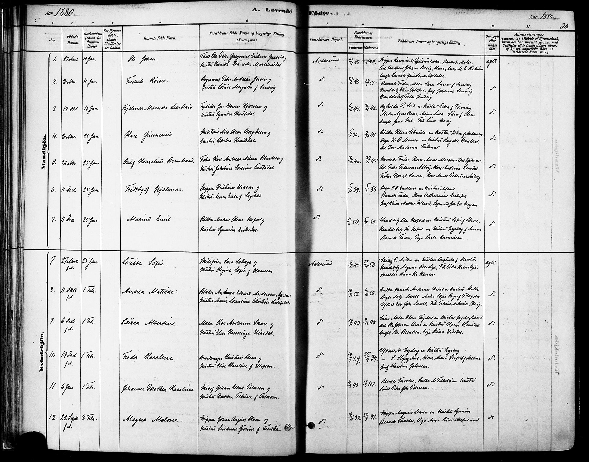 Ministerialprotokoller, klokkerbøker og fødselsregistre - Møre og Romsdal, AV/SAT-A-1454/529/L0454: Ministerialbok nr. 529A04, 1878-1885, s. 36