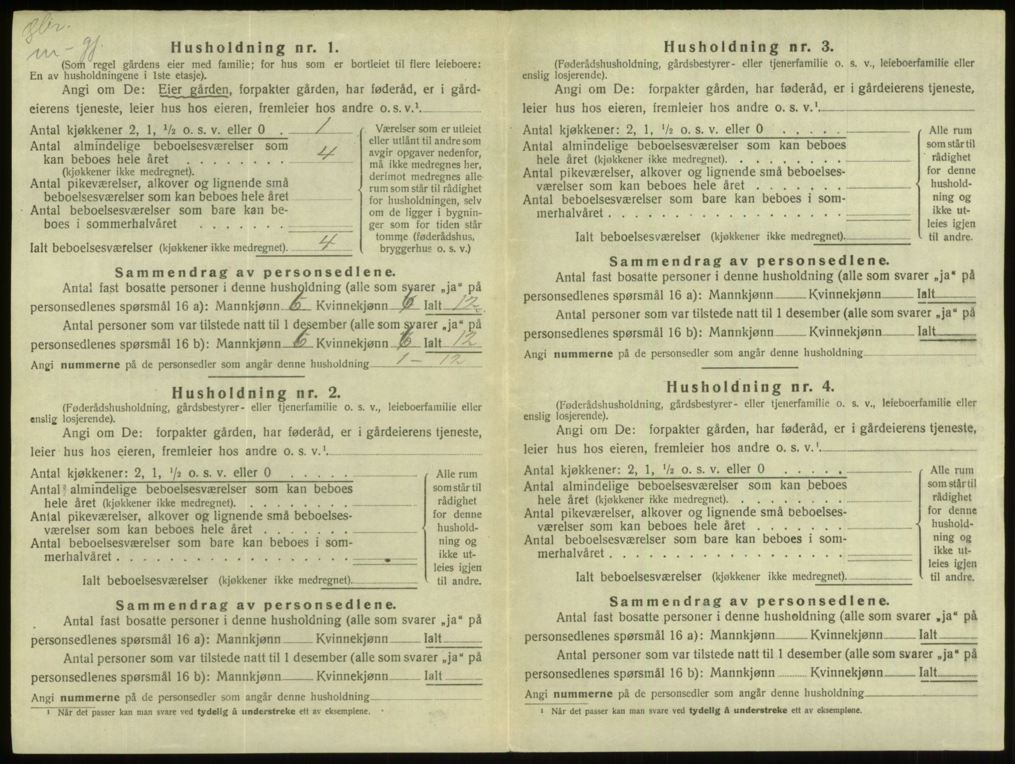 SAB, Folketelling 1920 for 1444 Hornindal herred, 1920, s. 213