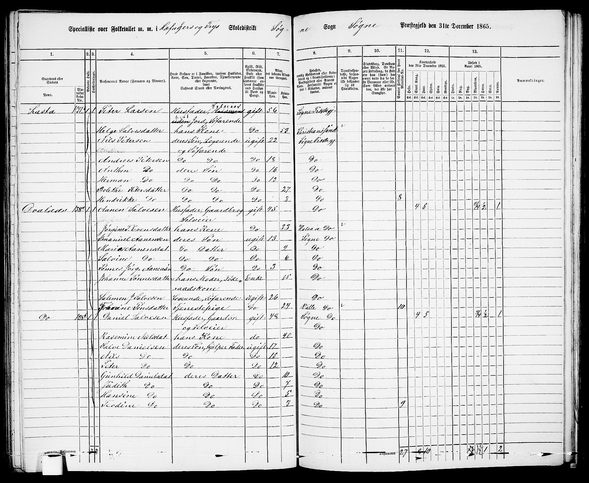 RA, Folketelling 1865 for 1018P Søgne prestegjeld, 1865, s. 96