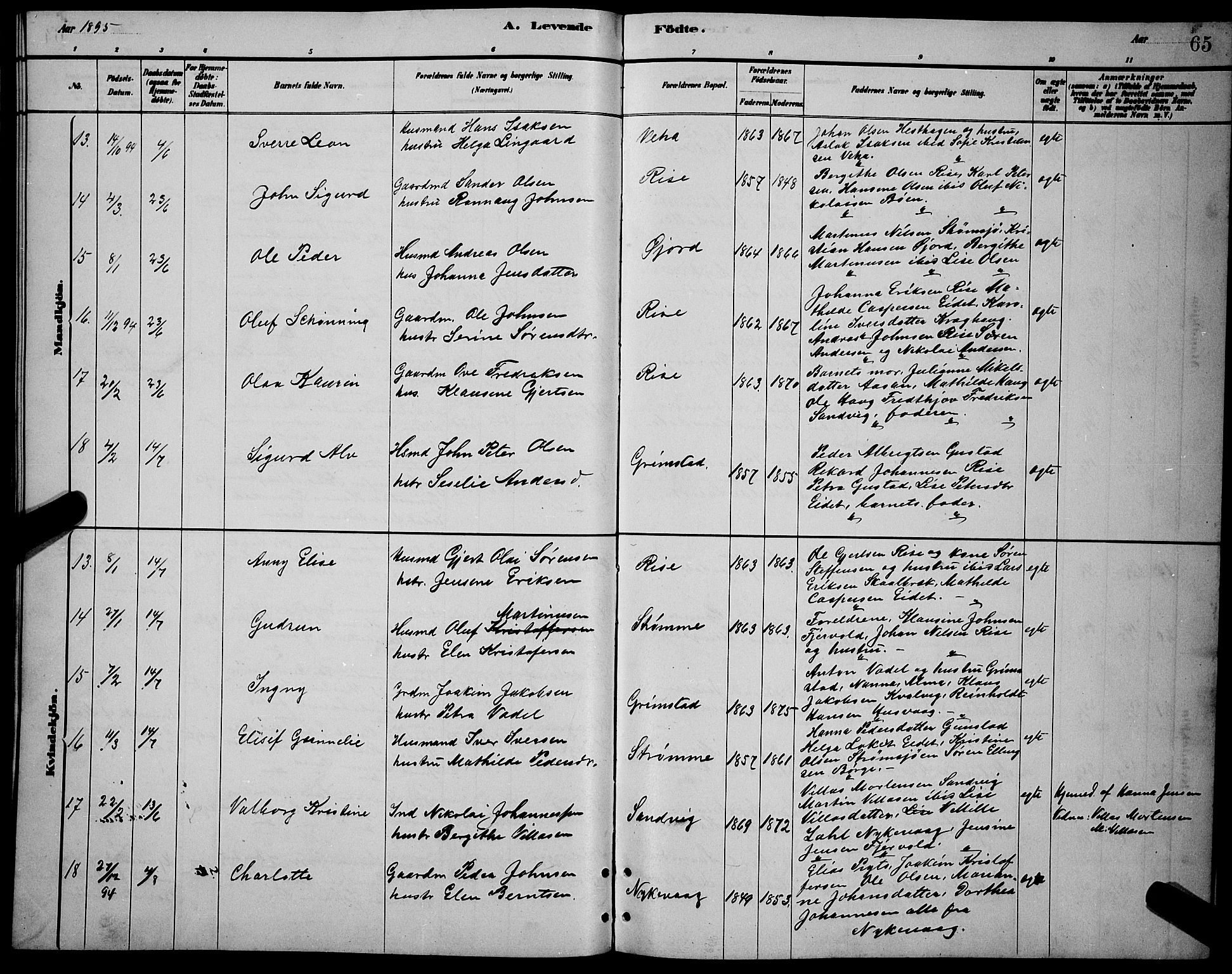 Ministerialprotokoller, klokkerbøker og fødselsregistre - Nordland, AV/SAT-A-1459/892/L1325: Klokkerbok nr. 892C02, 1878-1896, s. 65