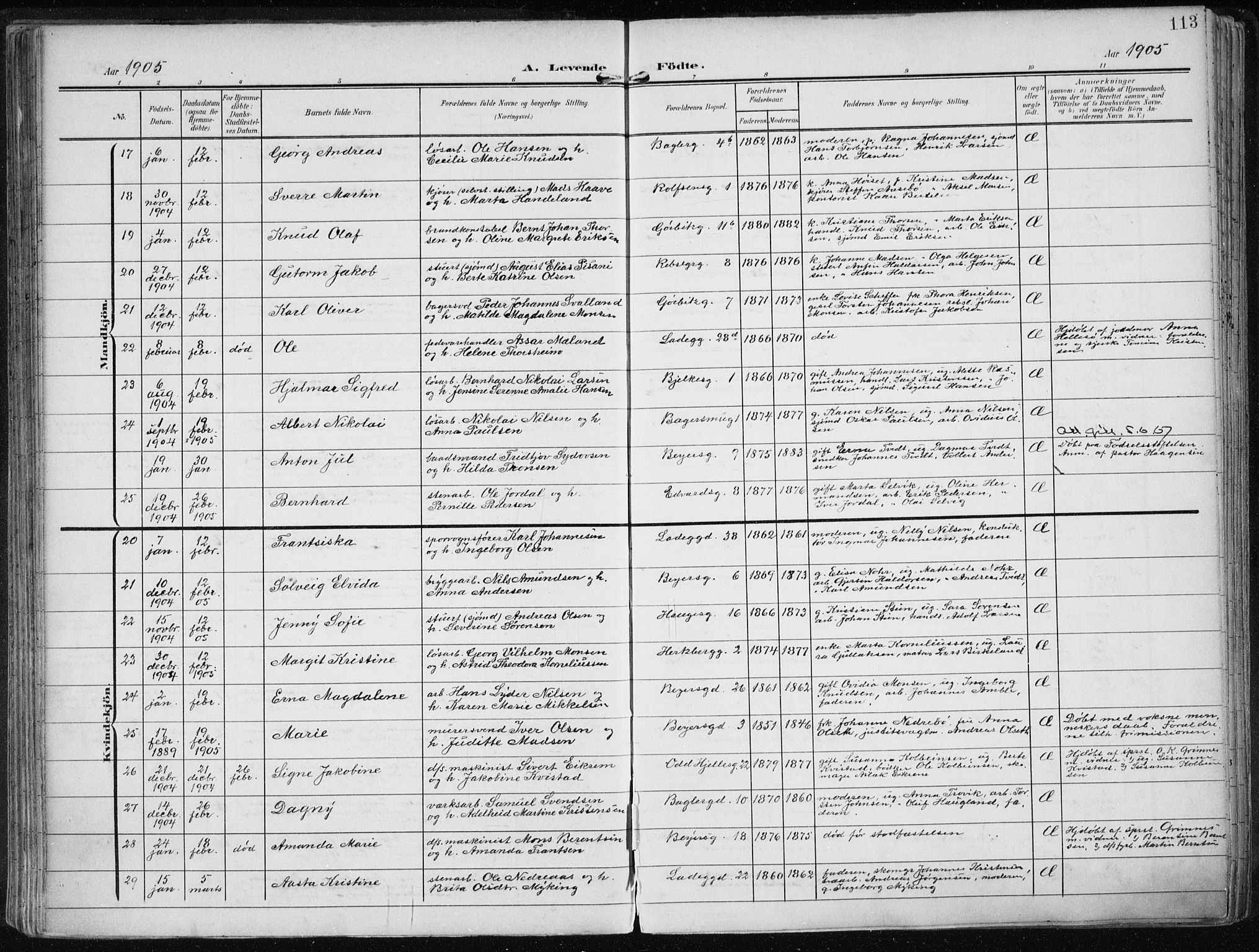 Sandviken Sokneprestembete, AV/SAB-A-77601/H/Ha/L0006: Ministerialbok nr. B 3, 1901-1912, s. 113