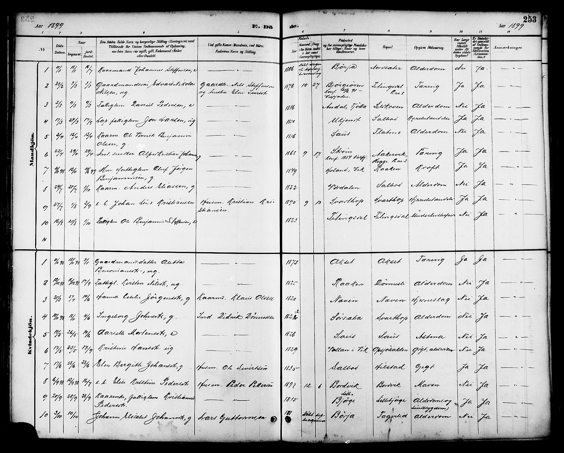 Ministerialprotokoller, klokkerbøker og fødselsregistre - Nordland, AV/SAT-A-1459/814/L0230: Klokkerbok nr. 814C03, 1884-1911, s. 253