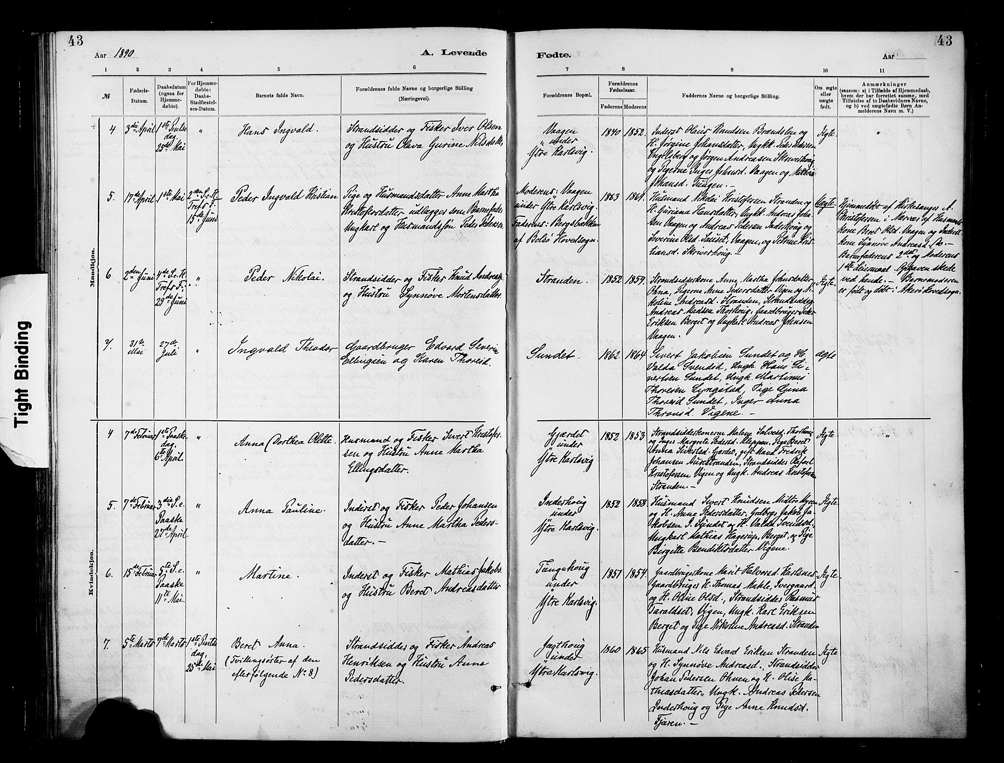 Ministerialprotokoller, klokkerbøker og fødselsregistre - Møre og Romsdal, AV/SAT-A-1454/566/L0769: Ministerialbok nr. 566A08, 1881-1903, s. 43