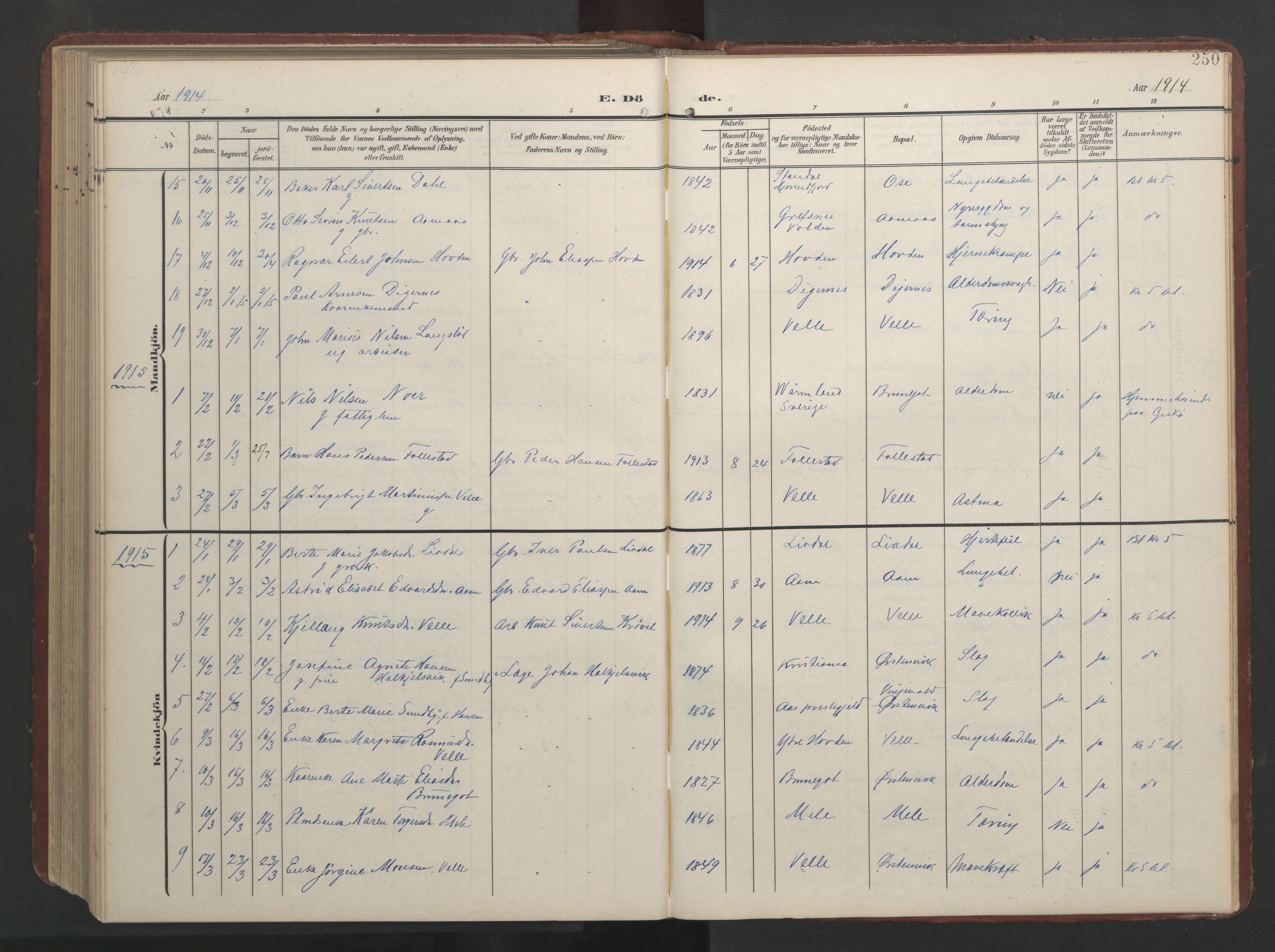 Ministerialprotokoller, klokkerbøker og fødselsregistre - Møre og Romsdal, AV/SAT-A-1454/513/L0190: Klokkerbok nr. 513C04, 1904-1926, s. 250