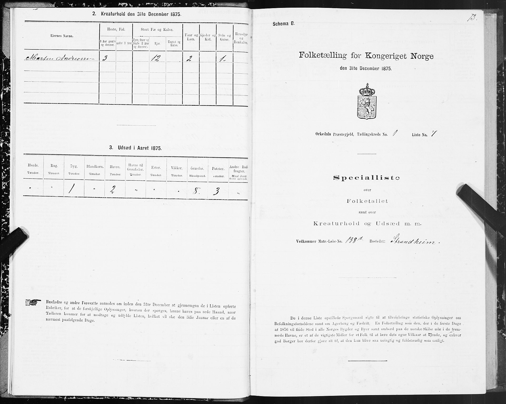 SAT, Folketelling 1875 for 1638P Orkdal prestegjeld, 1875, s. 1013