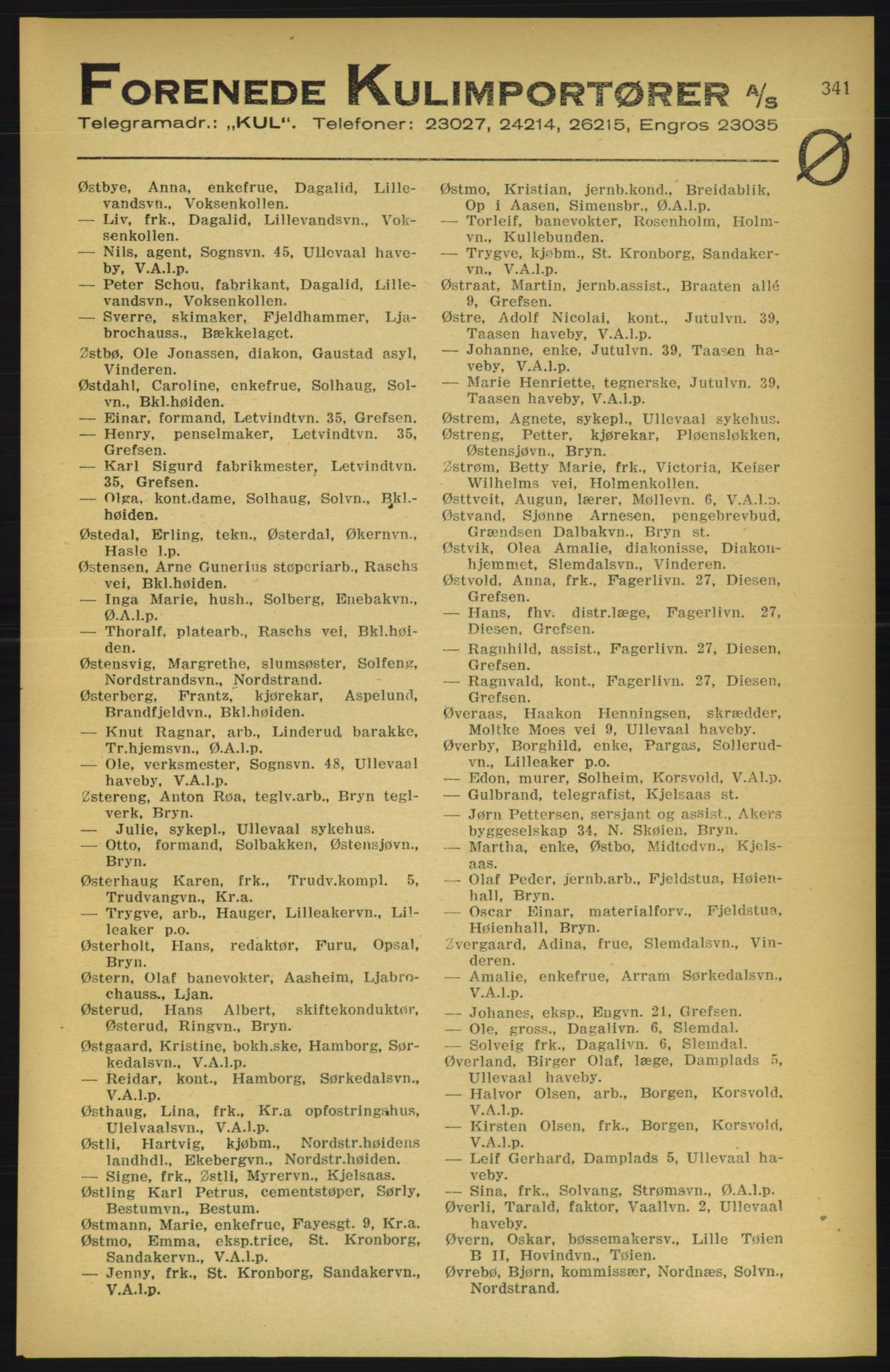Aker adressebok/adressekalender, PUBL/001/A/003: Akers adressekalender, 1924-1925, s. 341