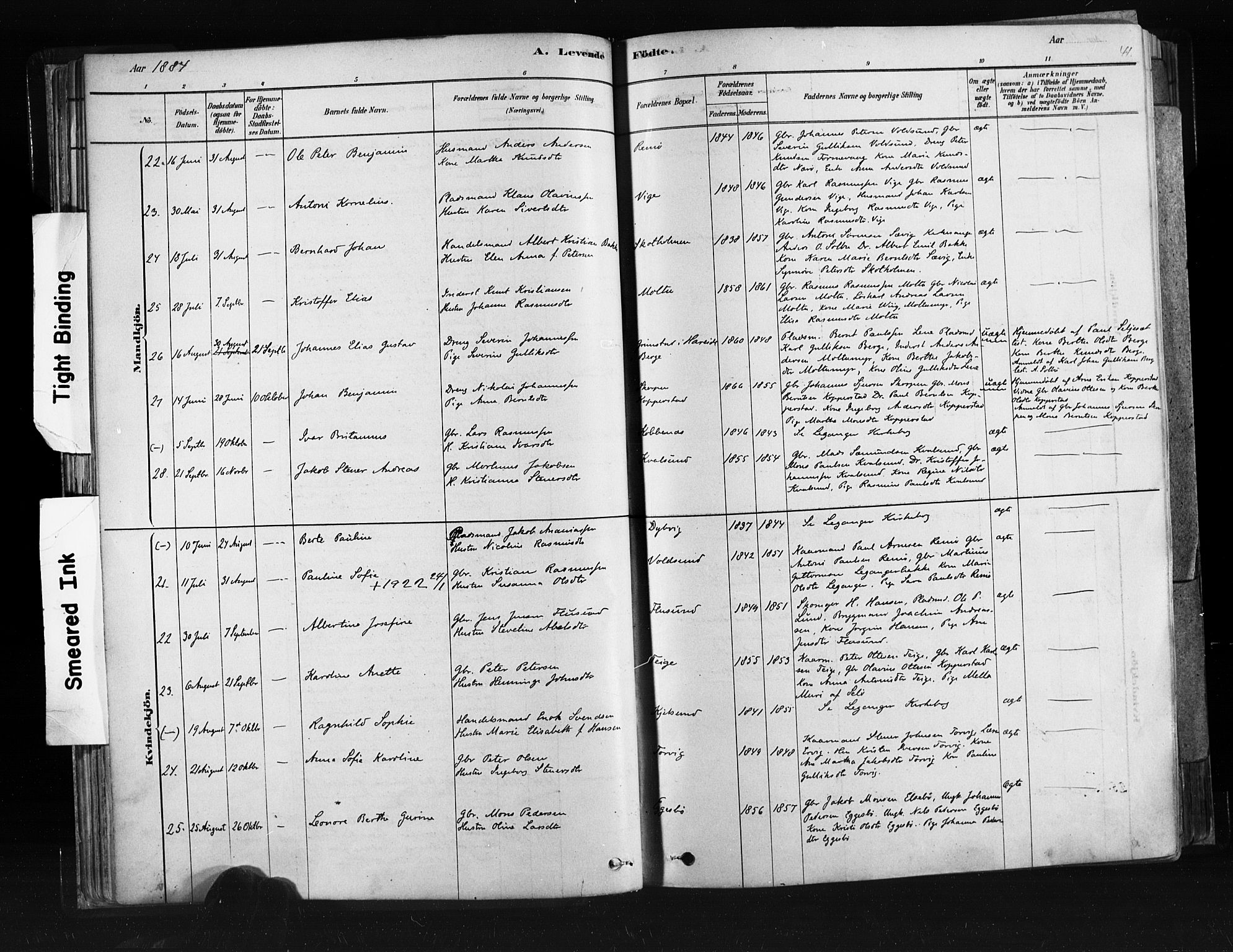 Ministerialprotokoller, klokkerbøker og fødselsregistre - Møre og Romsdal, AV/SAT-A-1454/507/L0073: Ministerialbok nr. 507A08, 1878-1904, s. 41