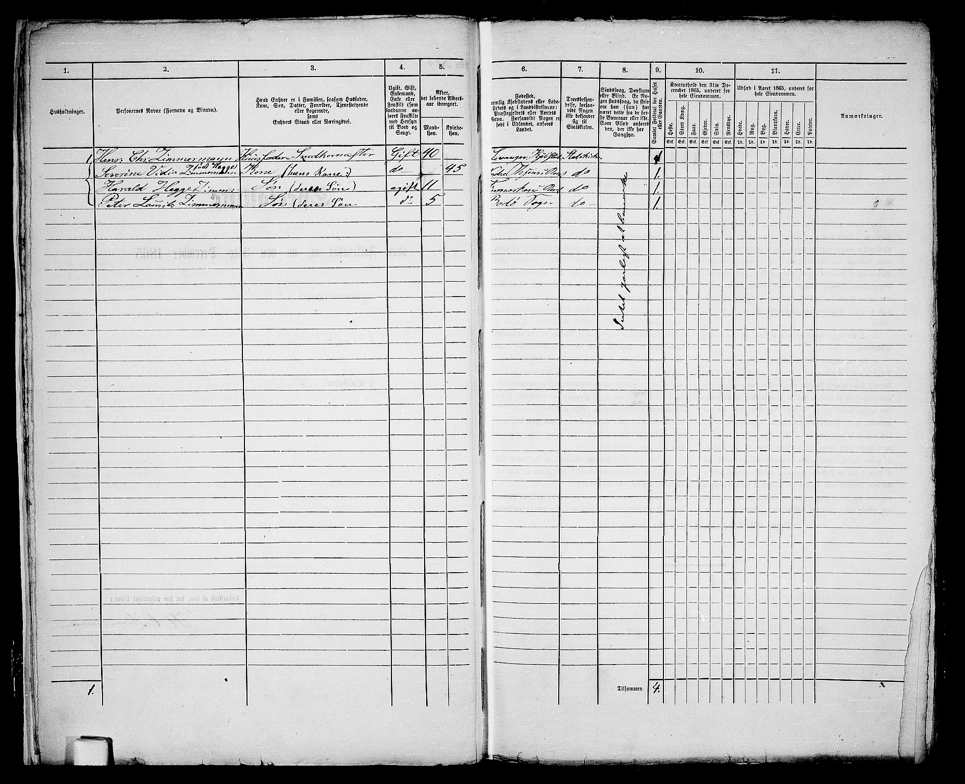 RA, Folketelling 1865 for 1804B Bodø prestegjeld, Bodø kjøpstad, 1865, s. 13