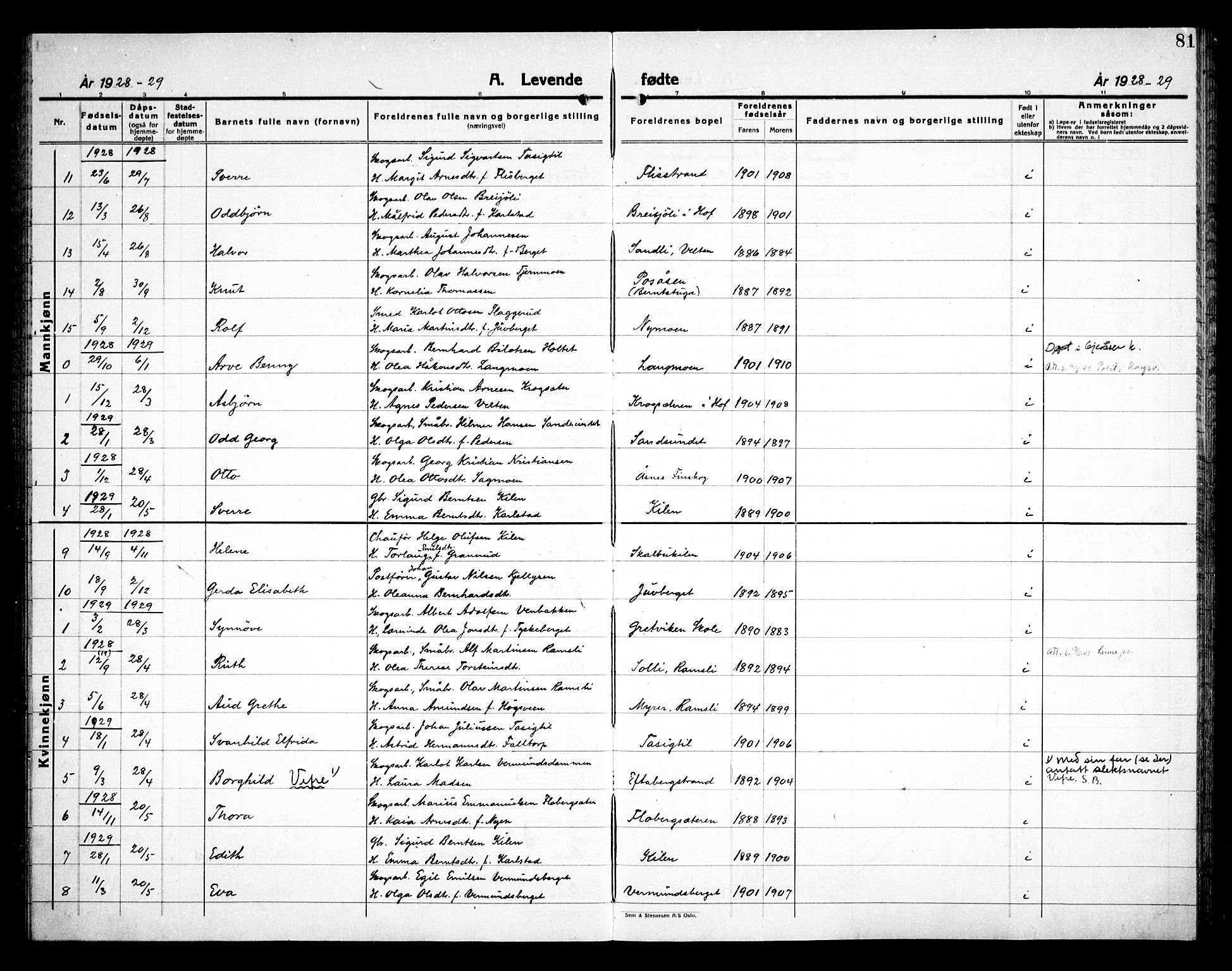 Åsnes prestekontor, AV/SAH-PREST-042/H/Ha/Haa/L0000E: Ministerialbok nr. 0C, 1890-1929, s. 81