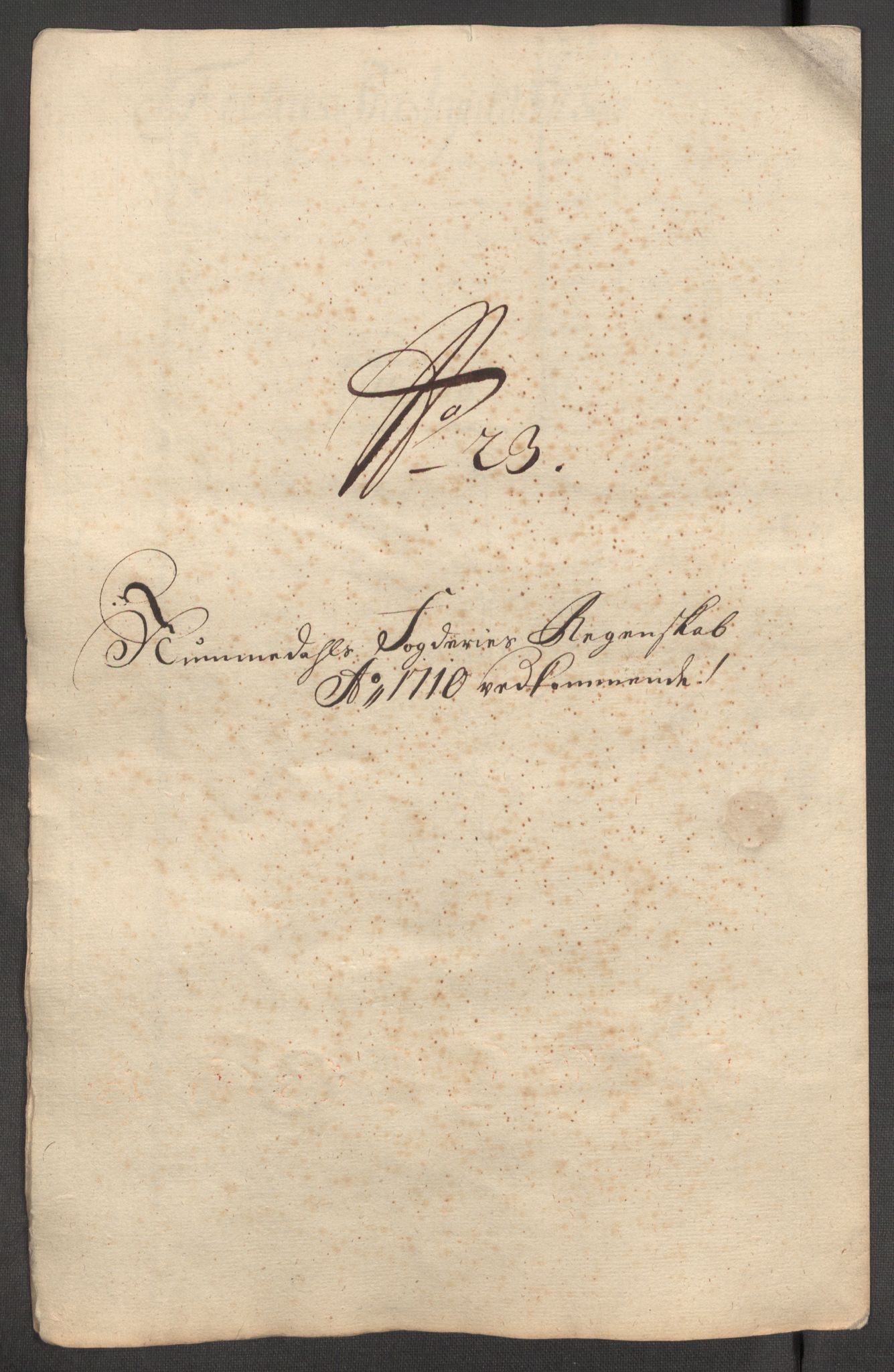 Rentekammeret inntil 1814, Reviderte regnskaper, Fogderegnskap, AV/RA-EA-4092/R64/L4431: Fogderegnskap Namdal, 1709-1710, s. 453