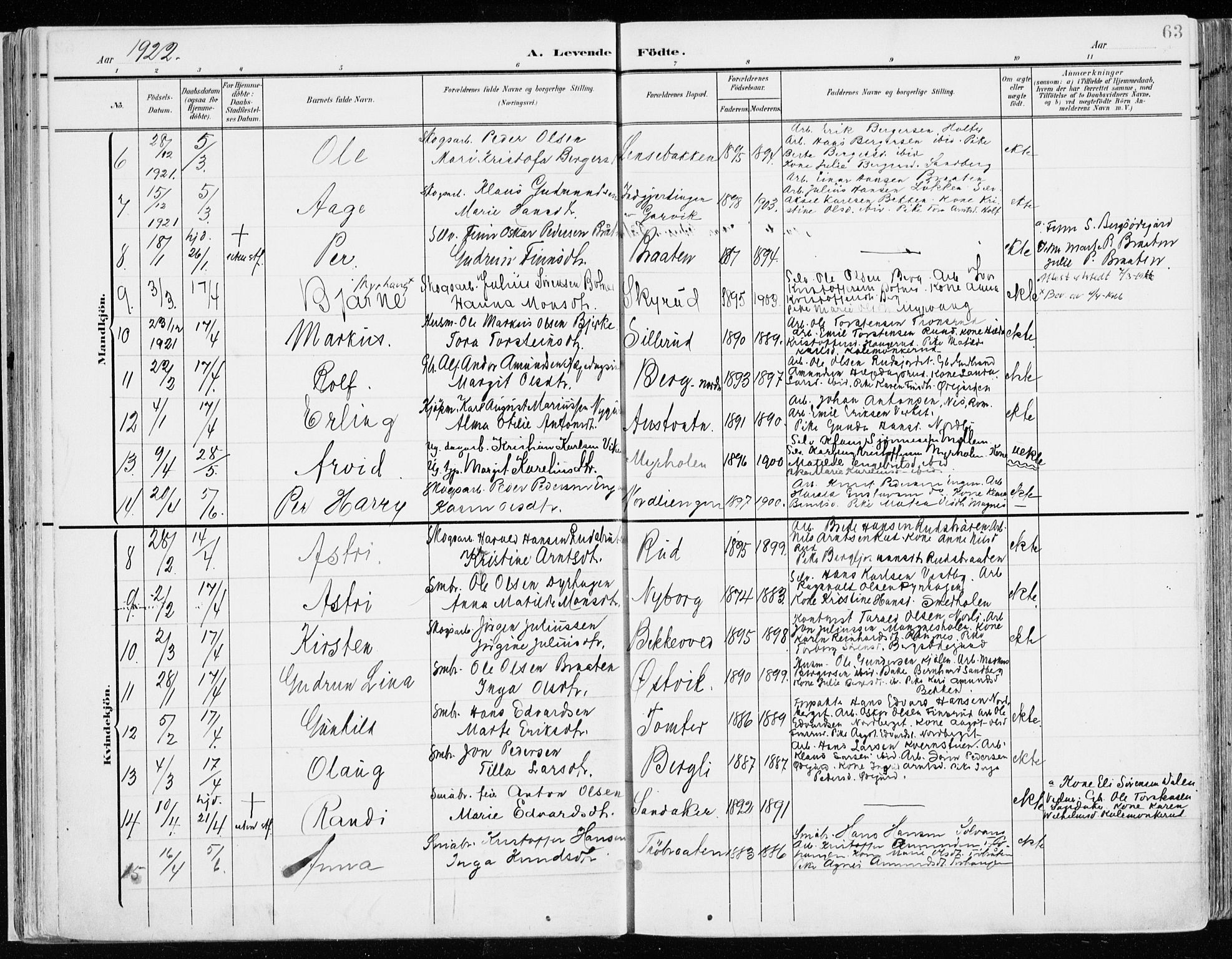 Nord-Odal prestekontor, SAH/PREST-032/H/Ha/Haa/L0009: Ministerialbok nr. 9, 1902-1926, s. 63