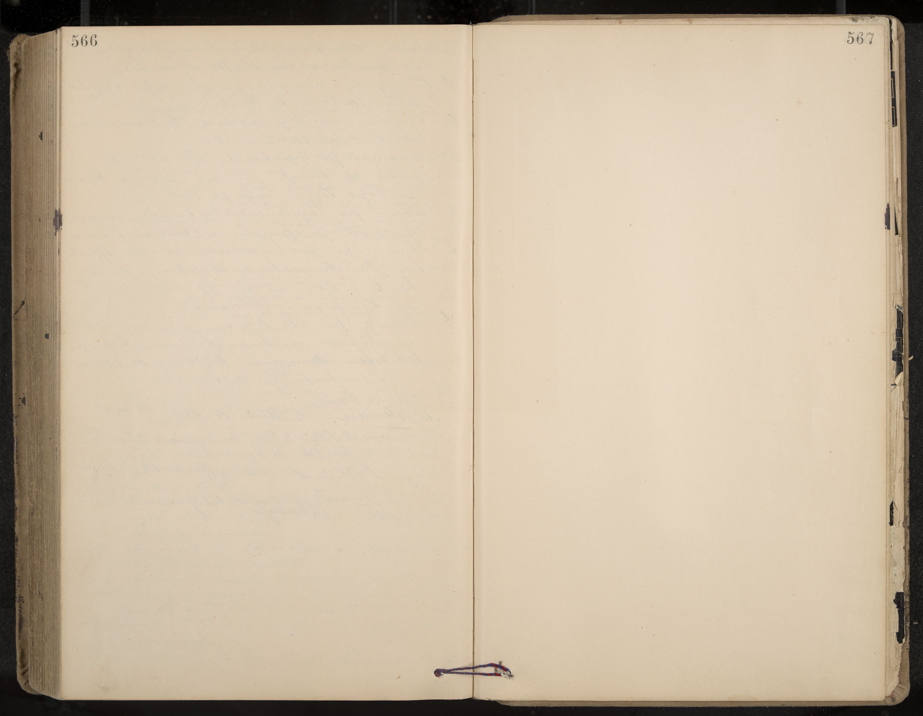 Seljord formannskap og sentraladministrasjon, IKAK/0828021/A/Aa/L0003: Møtebok med register, 1891-1905, s. 566-567