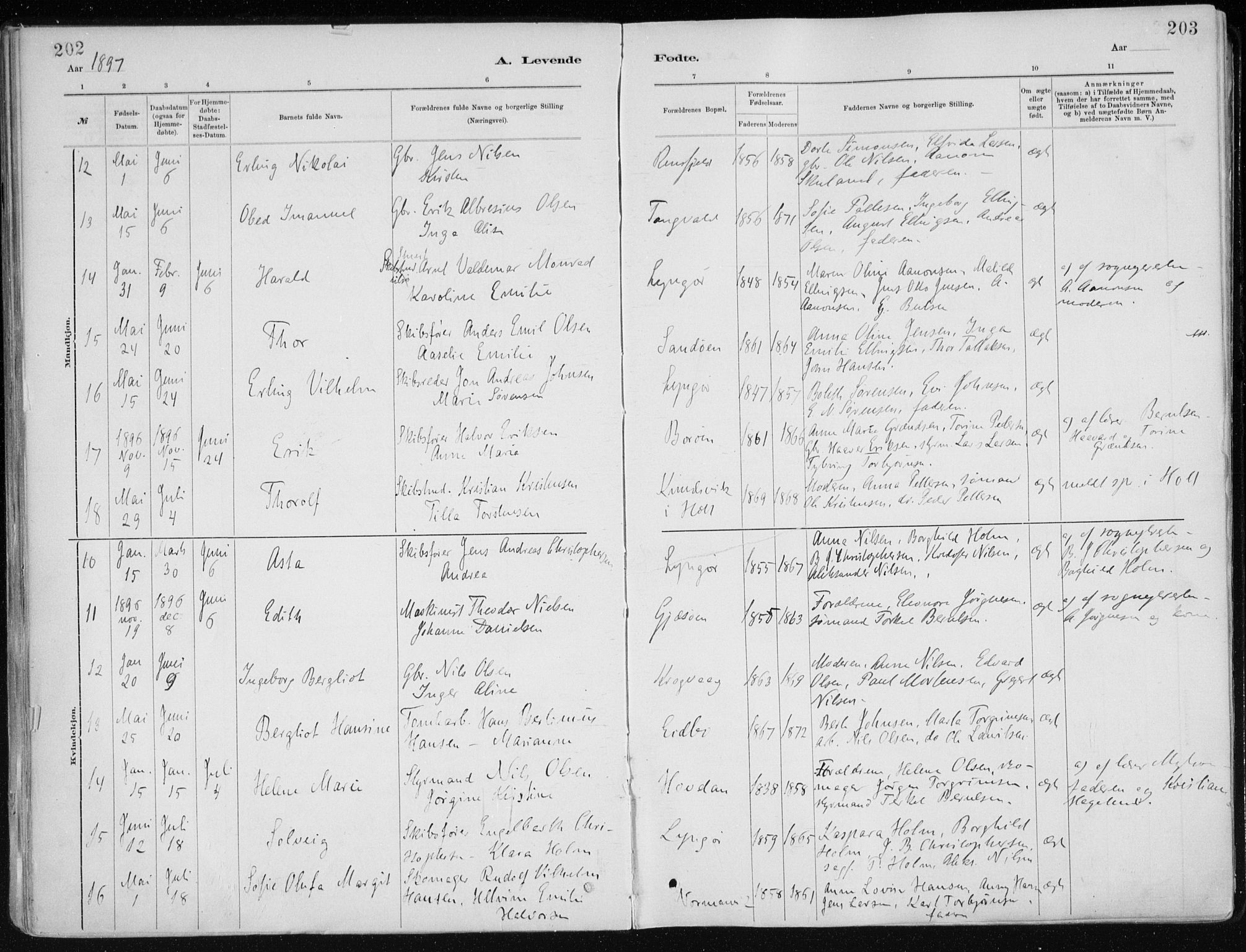 Dypvåg sokneprestkontor, AV/SAK-1111-0007/F/Fa/Faa/L0008: Ministerialbok nr. A 8, 1885-1906, s. 202-203