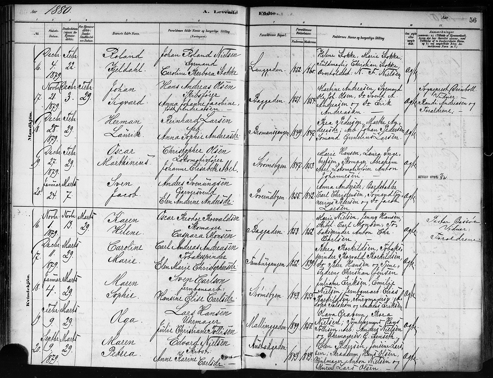 Strømsø kirkebøker, AV/SAKO-A-246/F/Fa/L0021: Ministerialbok nr. I 21, 1878-1885, s. 56
