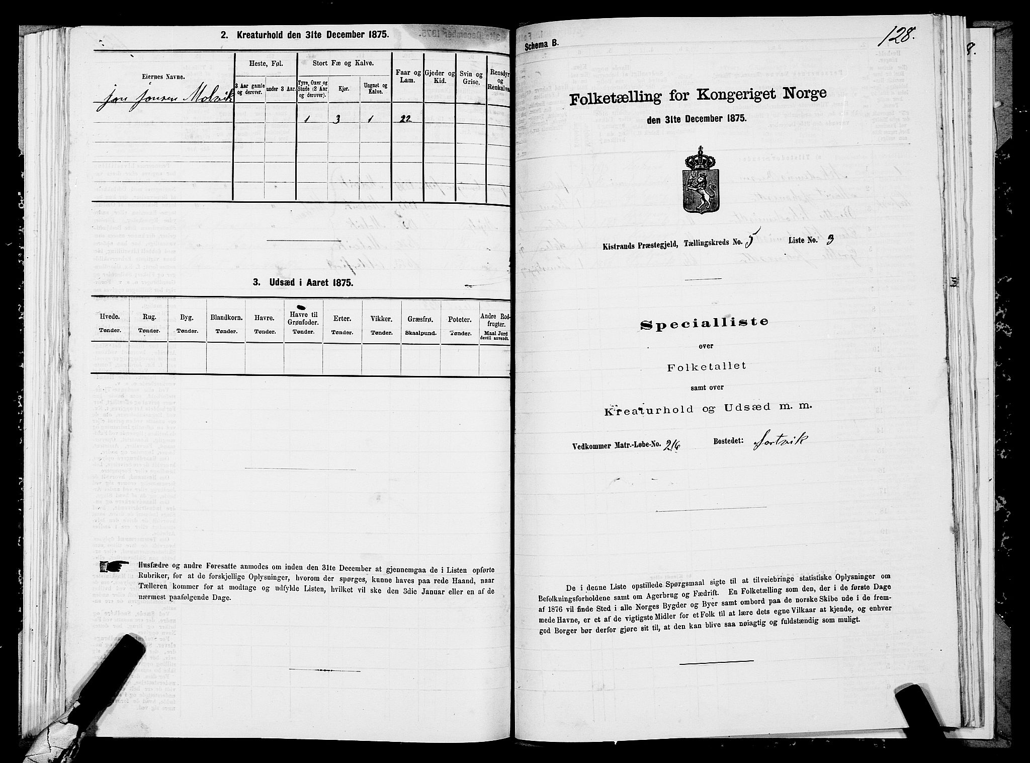 SATØ, Folketelling 1875 for 2020P Kistrand prestegjeld, 1875, s. 2128