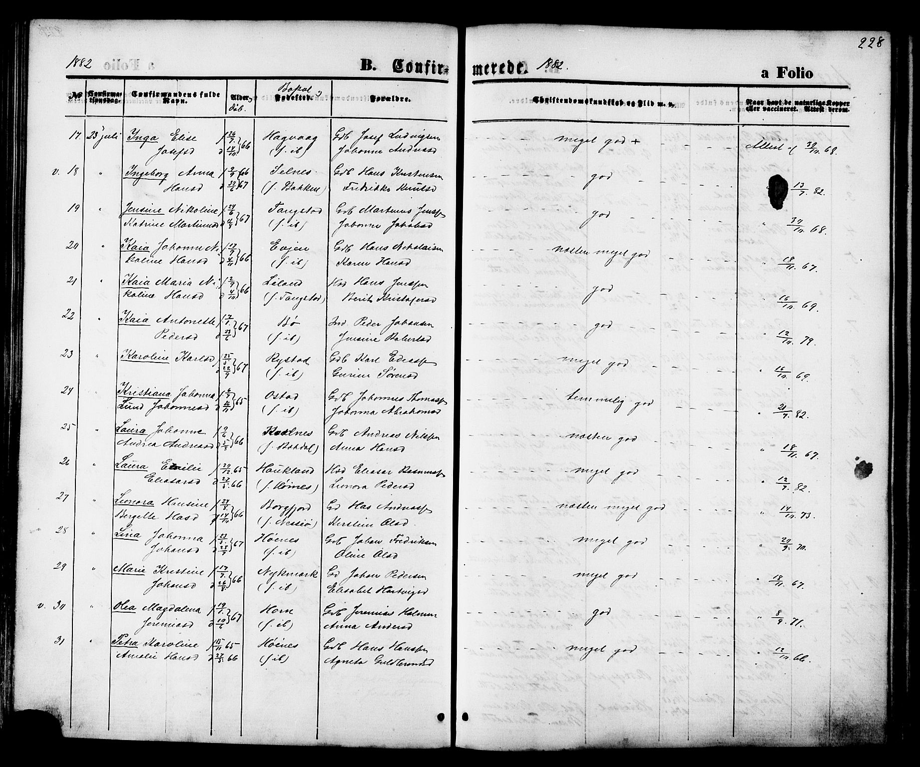 Ministerialprotokoller, klokkerbøker og fødselsregistre - Nordland, AV/SAT-A-1459/880/L1132: Ministerialbok nr. 880A06, 1869-1887, s. 228