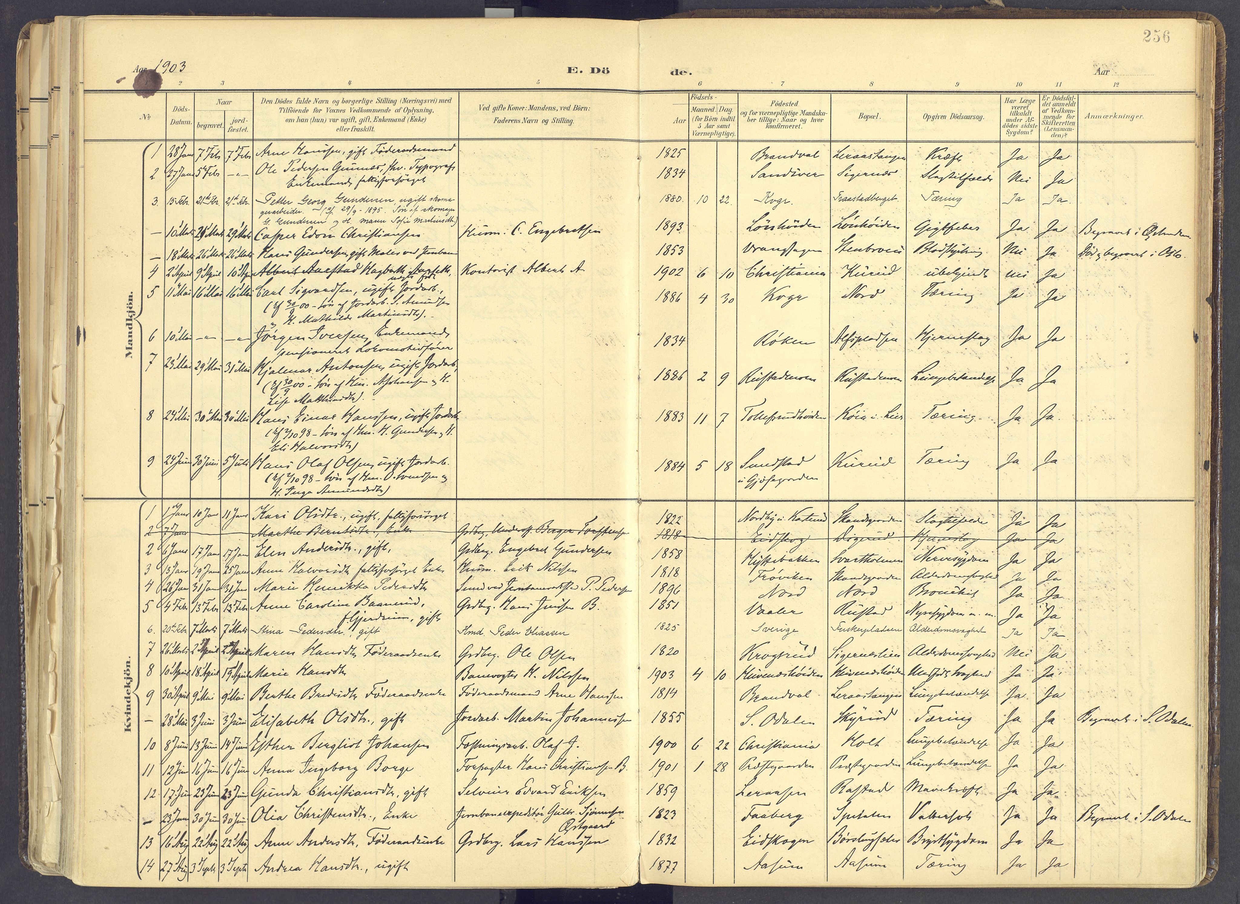 Vinger prestekontor, AV/SAH-PREST-024/H/Ha/Haa/L0017: Ministerialbok nr. 17, 1901-1927, s. 256
