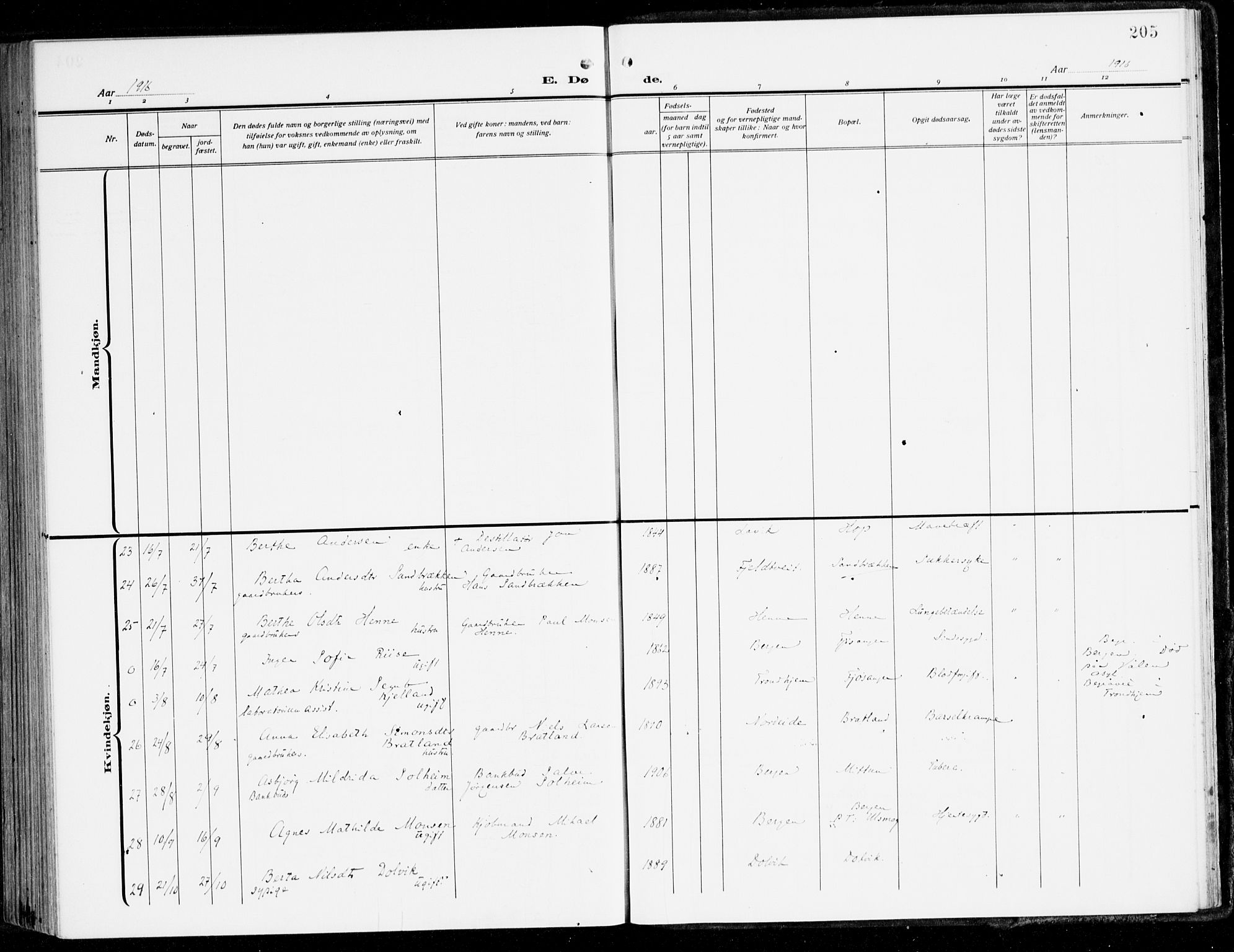 Fana Sokneprestembete, AV/SAB-A-75101/H/Haa/Haai/L0004: Ministerialbok nr. I 4, 1912-1933, s. 205