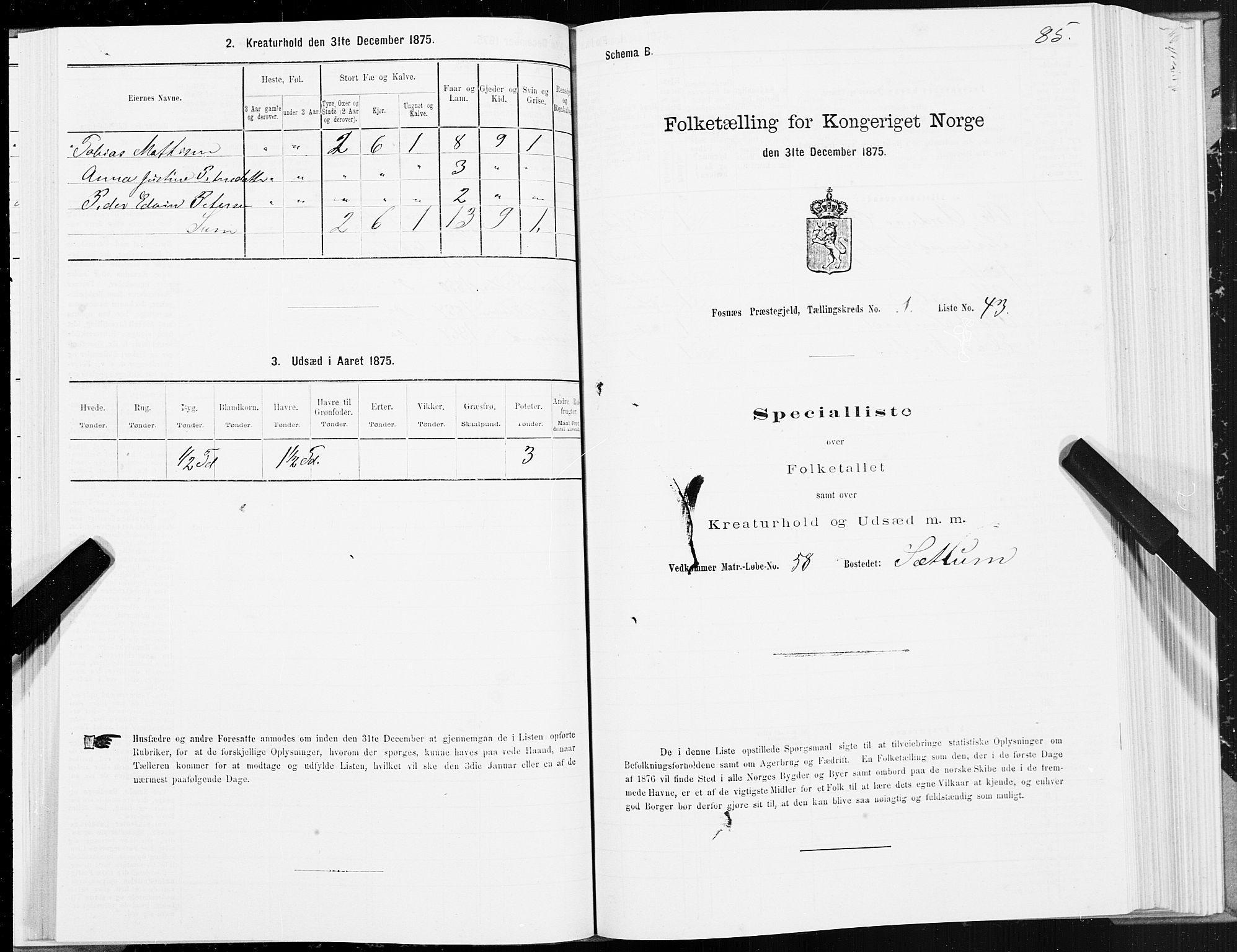 SAT, Folketelling 1875 for 1748P Fosnes prestegjeld, 1875, s. 3085