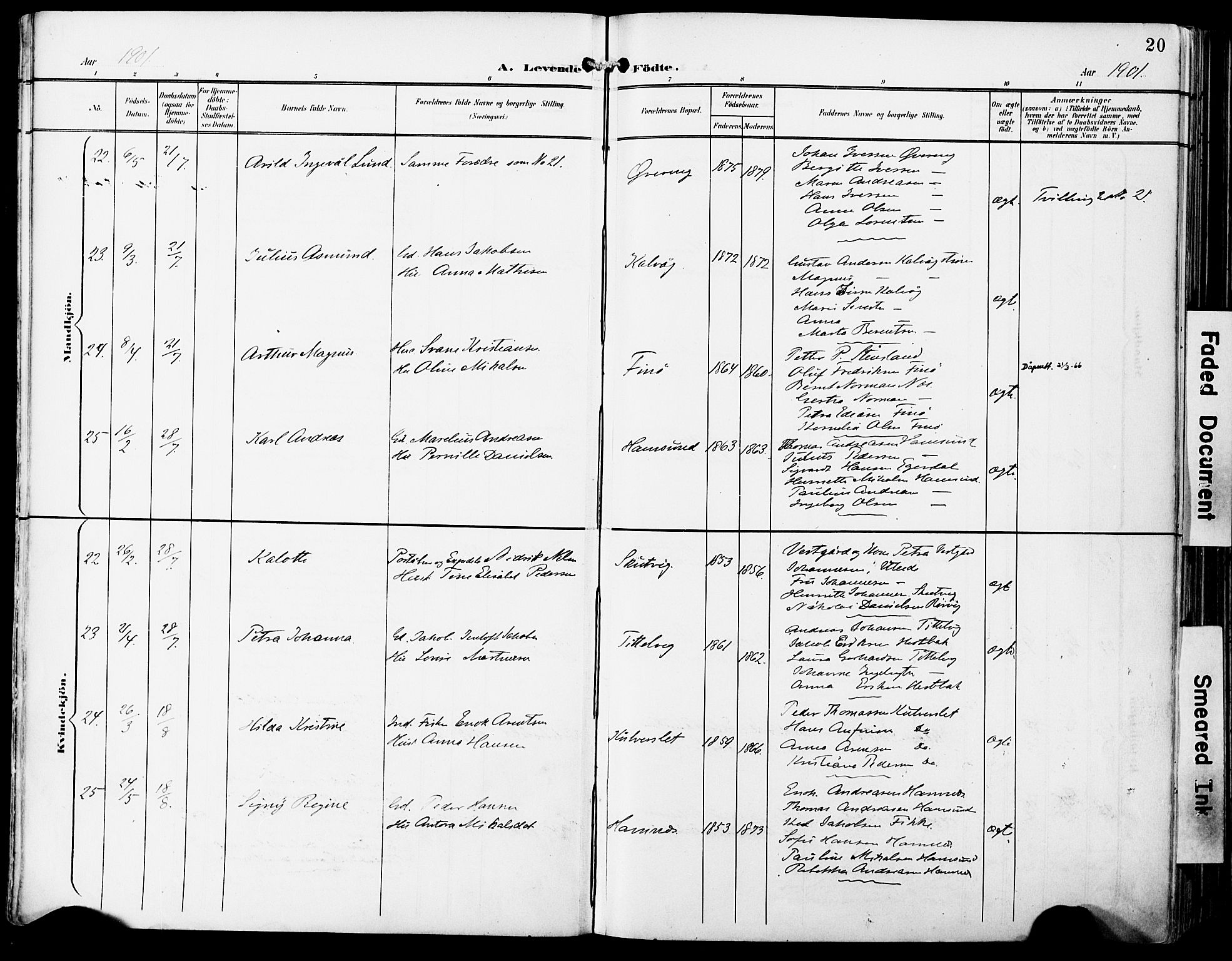 Ministerialprotokoller, klokkerbøker og fødselsregistre - Nordland, AV/SAT-A-1459/859/L0848: Ministerialbok nr. 859A08, 1900-1912, s. 20