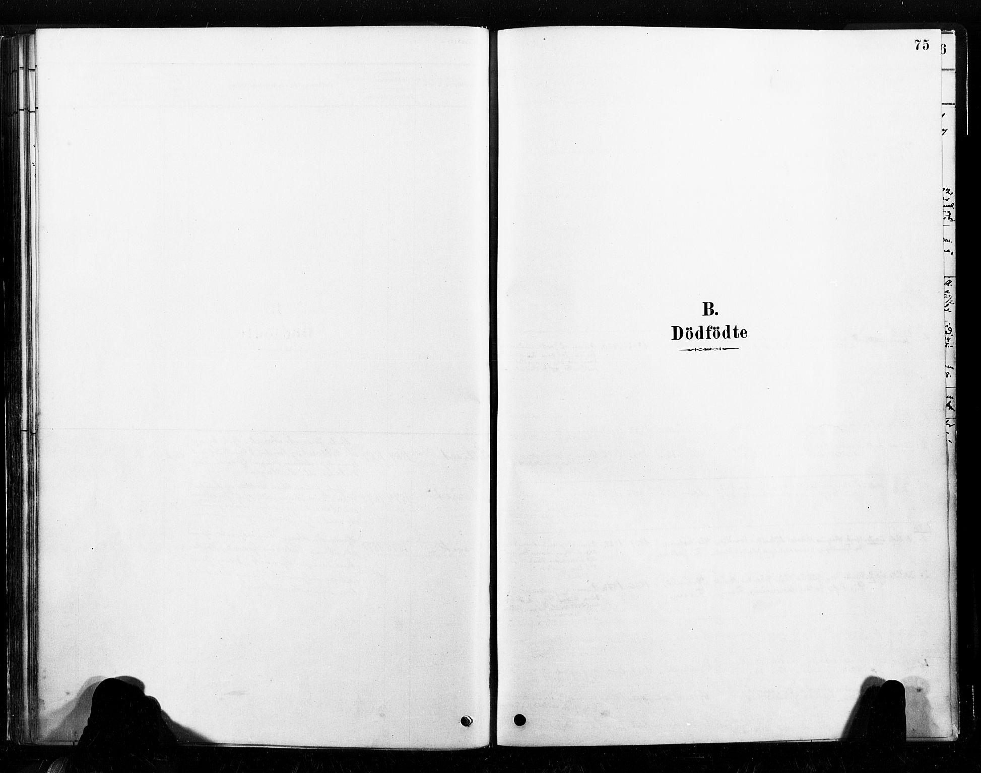 Ministerialprotokoller, klokkerbøker og fødselsregistre - Nord-Trøndelag, AV/SAT-A-1458/789/L0705: Ministerialbok nr. 789A01, 1878-1910, s. 75