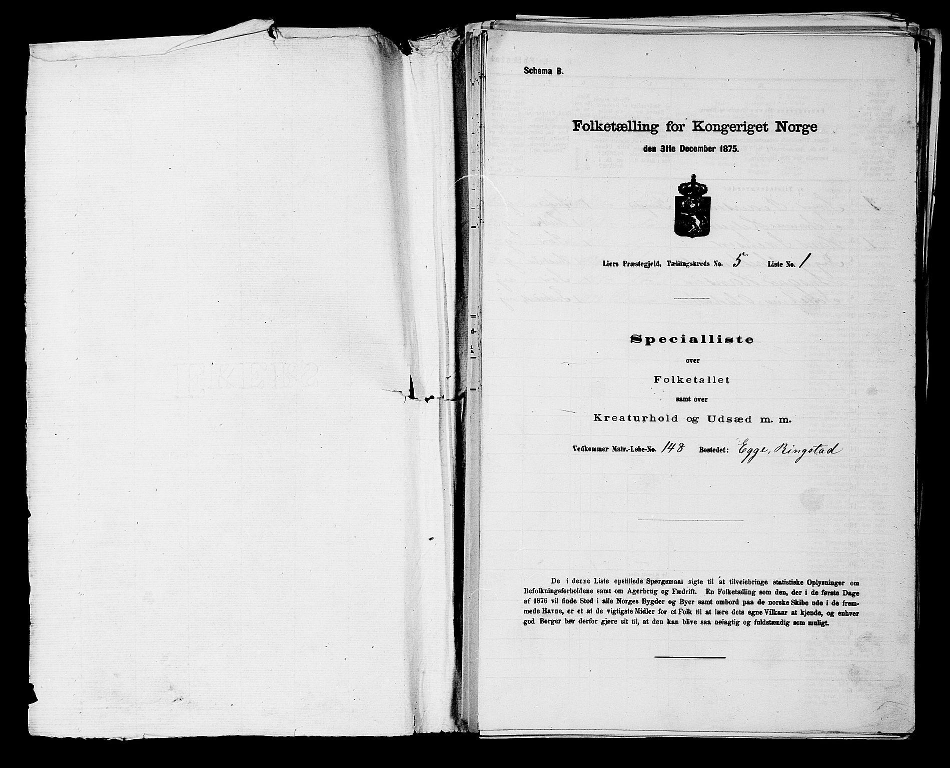 SAKO, Folketelling 1875 for 0626P Lier prestegjeld, 1875, s. 817