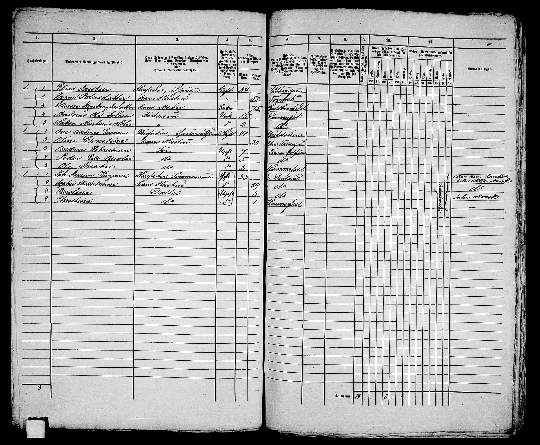 RA, Folketelling 1865 for 2001B Hammerfest prestegjeld, Hammerfest kjøpstad, 1865, s. 258