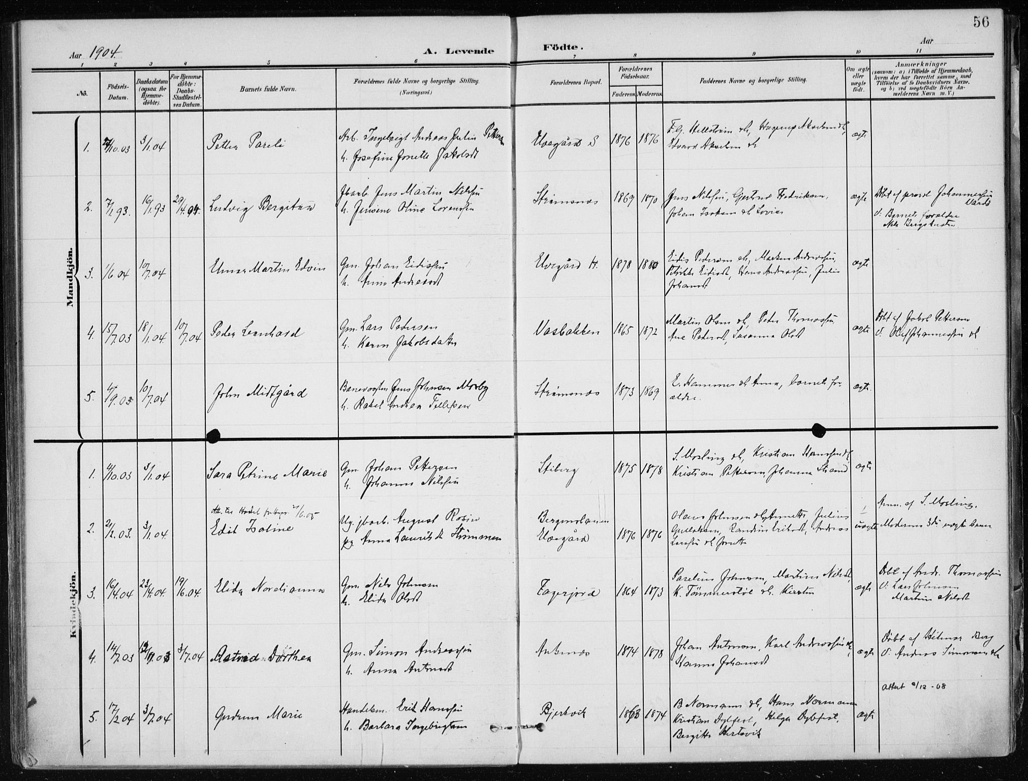 Ministerialprotokoller, klokkerbøker og fødselsregistre - Nordland, AV/SAT-A-1459/866/L0941: Ministerialbok nr. 866A04, 1901-1917, s. 56