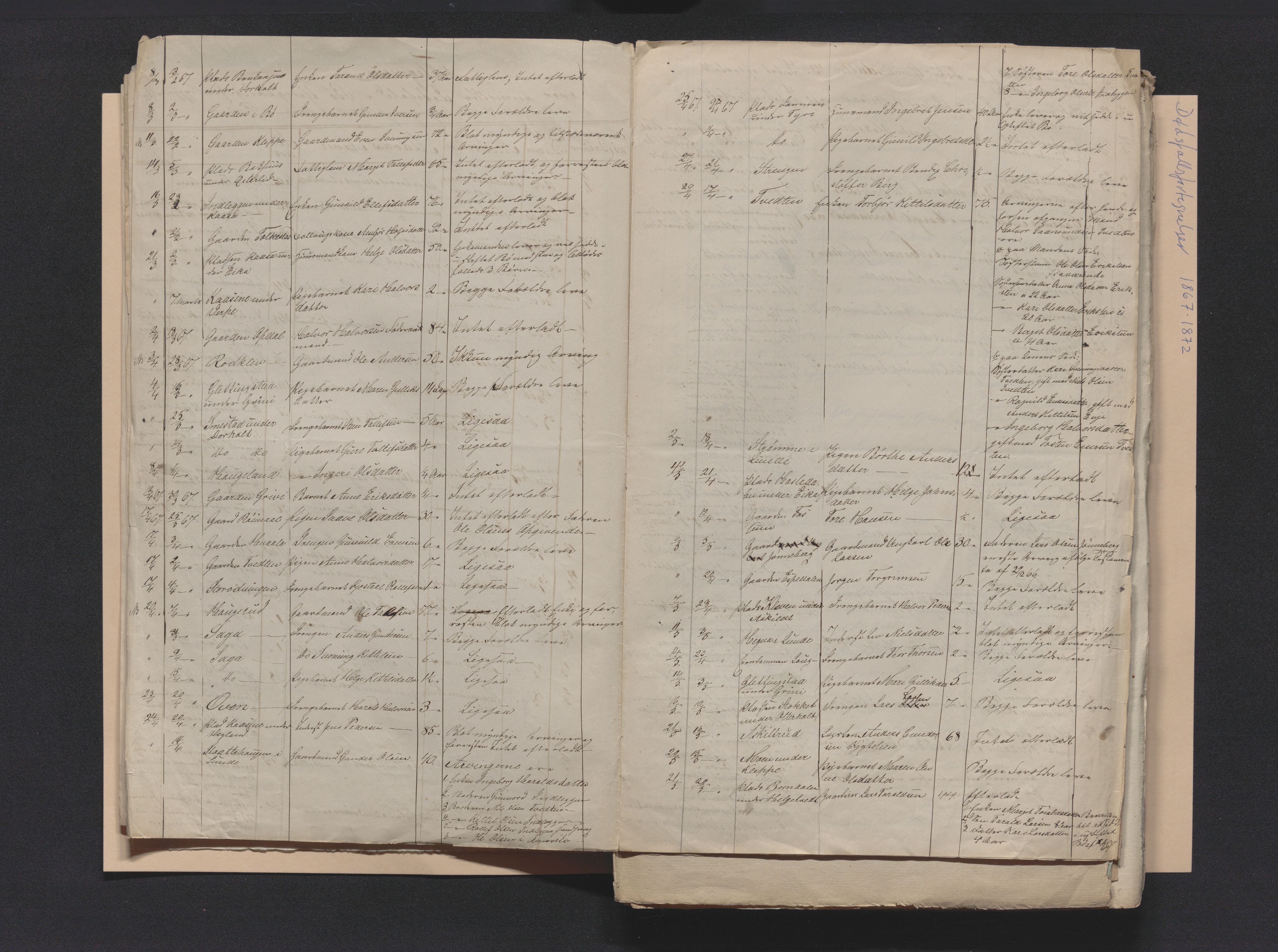 Nedre Telemark sorenskriveri, AV/SAKO-A-135/H/Ha/Hab/L0001: Dødsfallsfortegnelser
, 1867-1886, s. 13