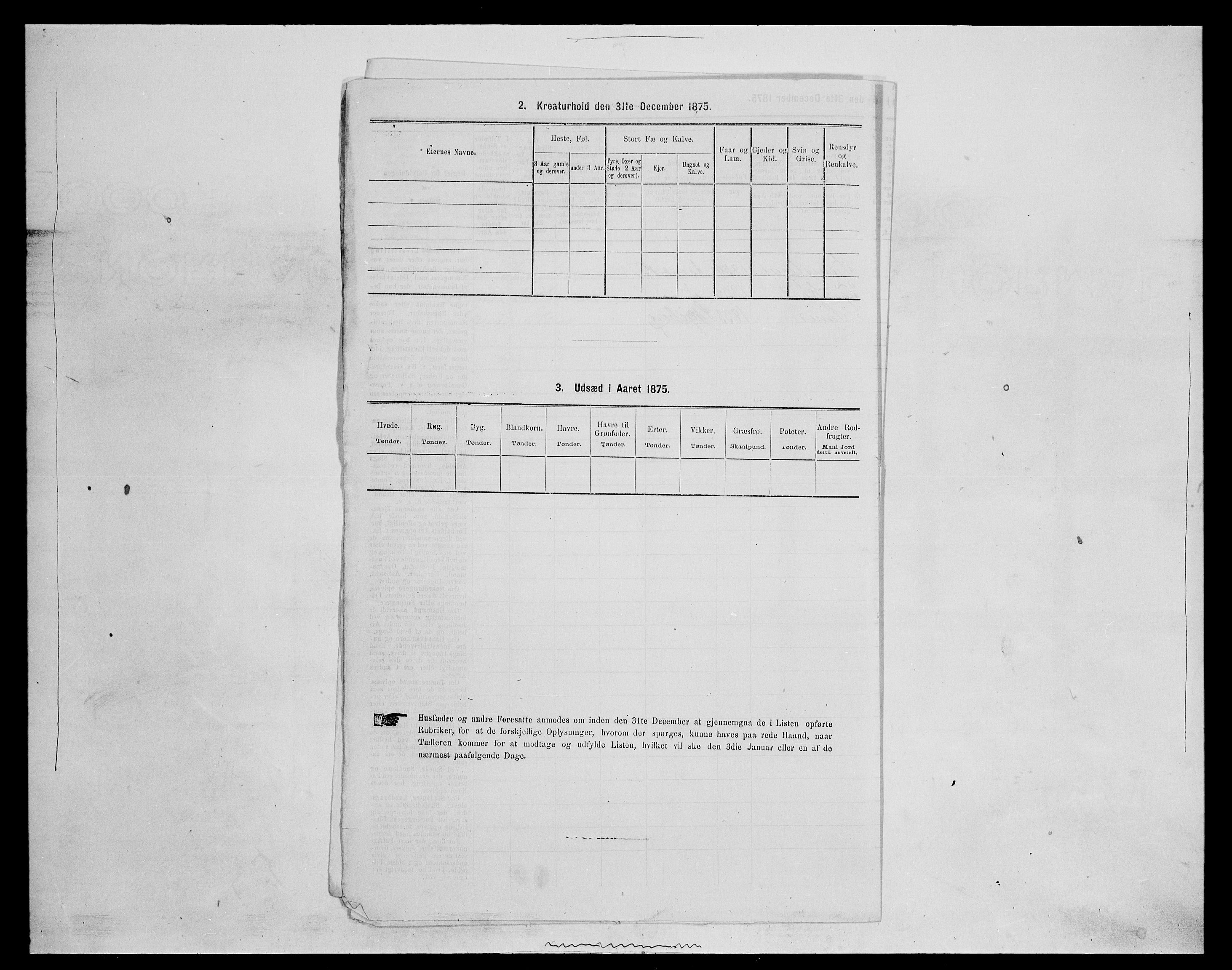 SAH, Folketelling 1875 for 0425P Åsnes prestegjeld, 1875, s. 969