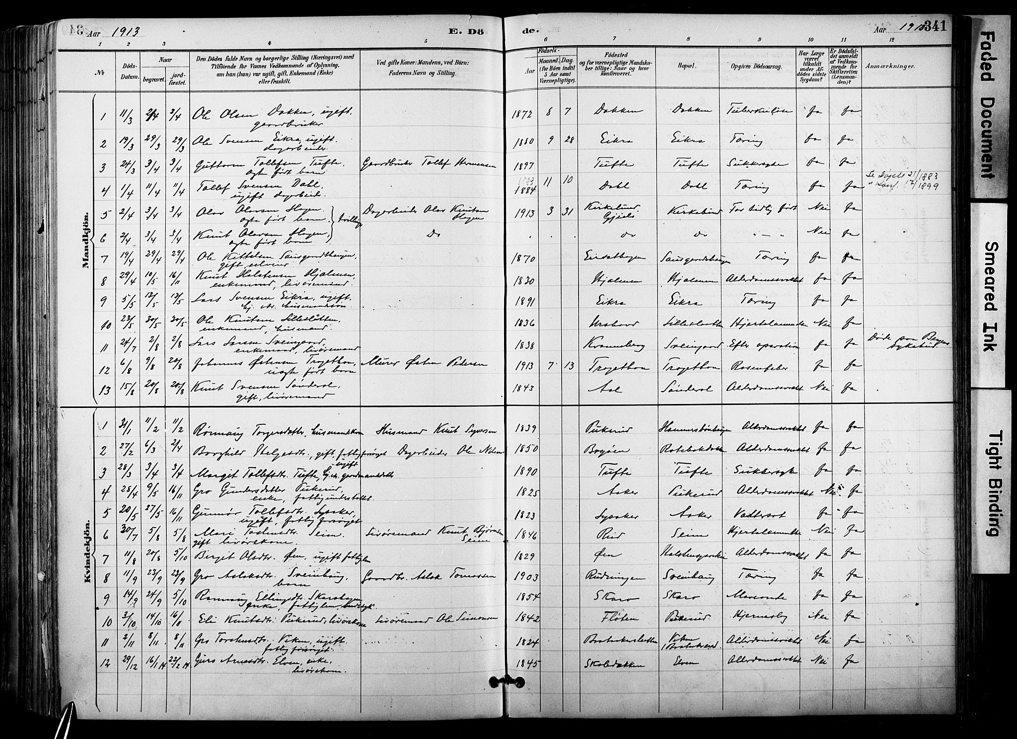 Hol kirkebøker, AV/SAKO-A-227/F/Fa/L0003: Ministerialbok nr. I 3, 1887-1918, s. 341