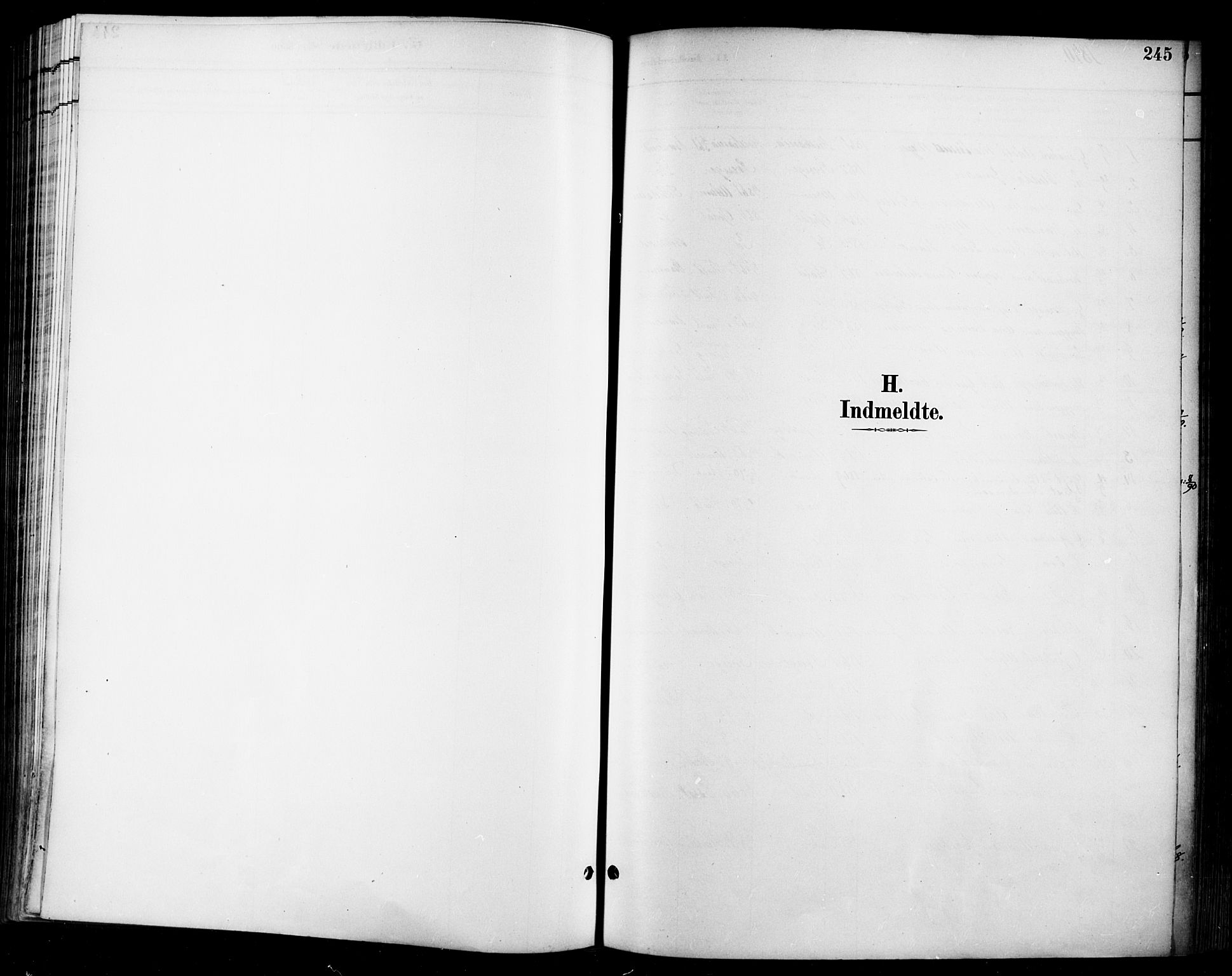 Halden prestekontor Kirkebøker, SAO/A-10909/F/Fa/L0014: Ministerialbok nr. I 14, 1890-1906, s. 245