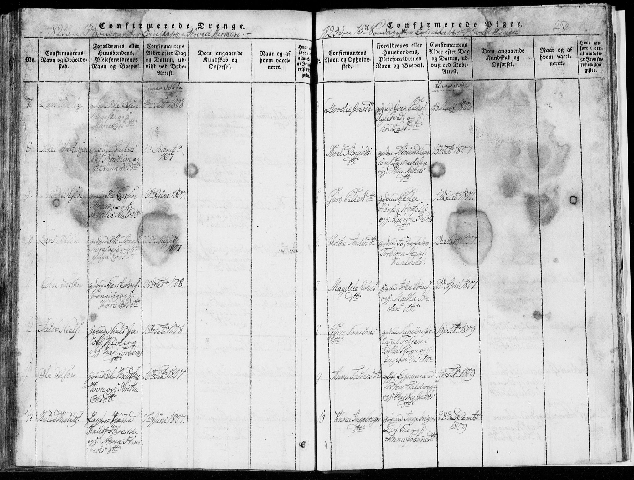 Strandebarm sokneprestembete, AV/SAB-A-78401/H/Hab: Klokkerbok nr. A  1, 1816-1826, s. 253