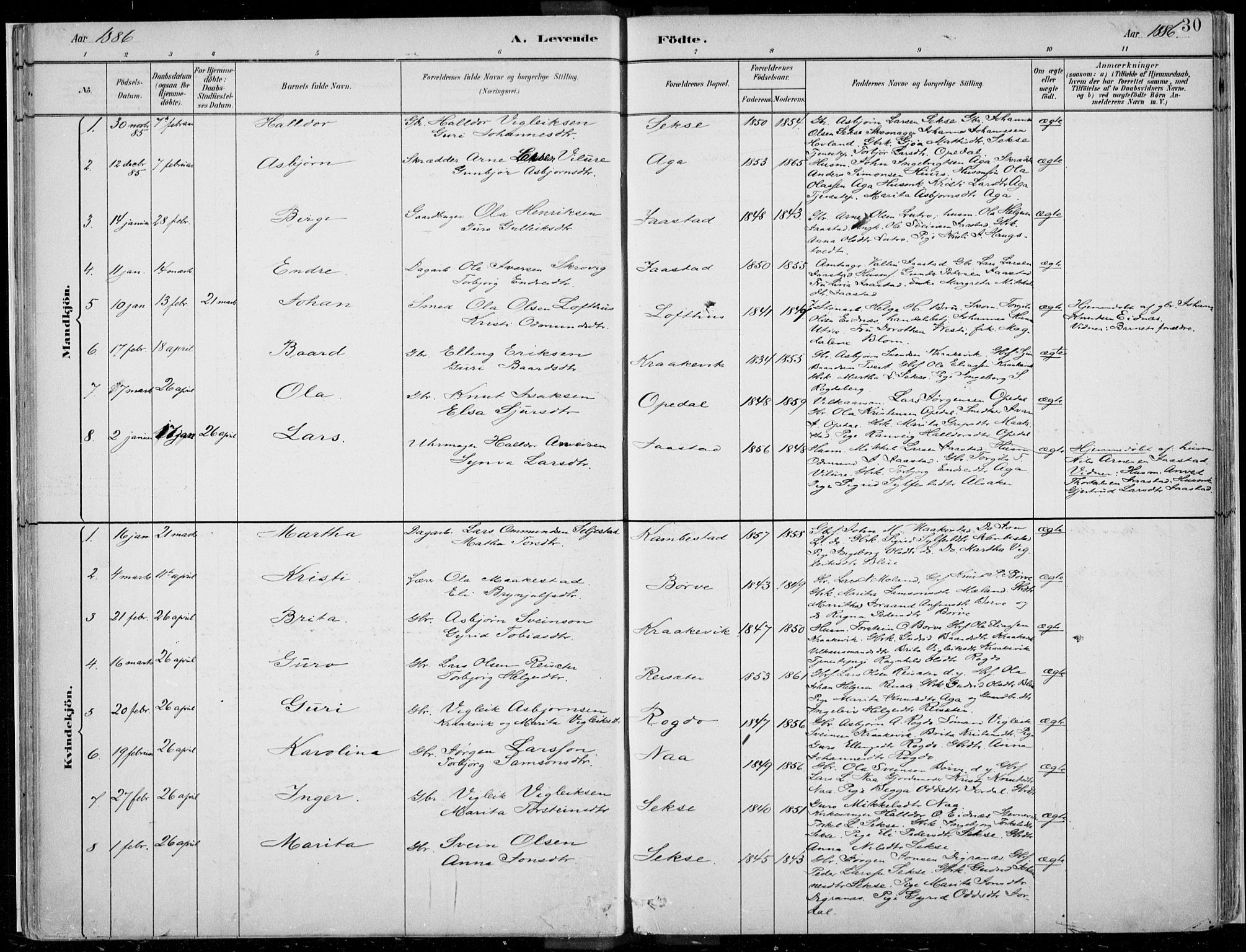 Ullensvang sokneprestembete, AV/SAB-A-78701/H/Haa: Ministerialbok nr. B  1, 1882-1918, s. 30