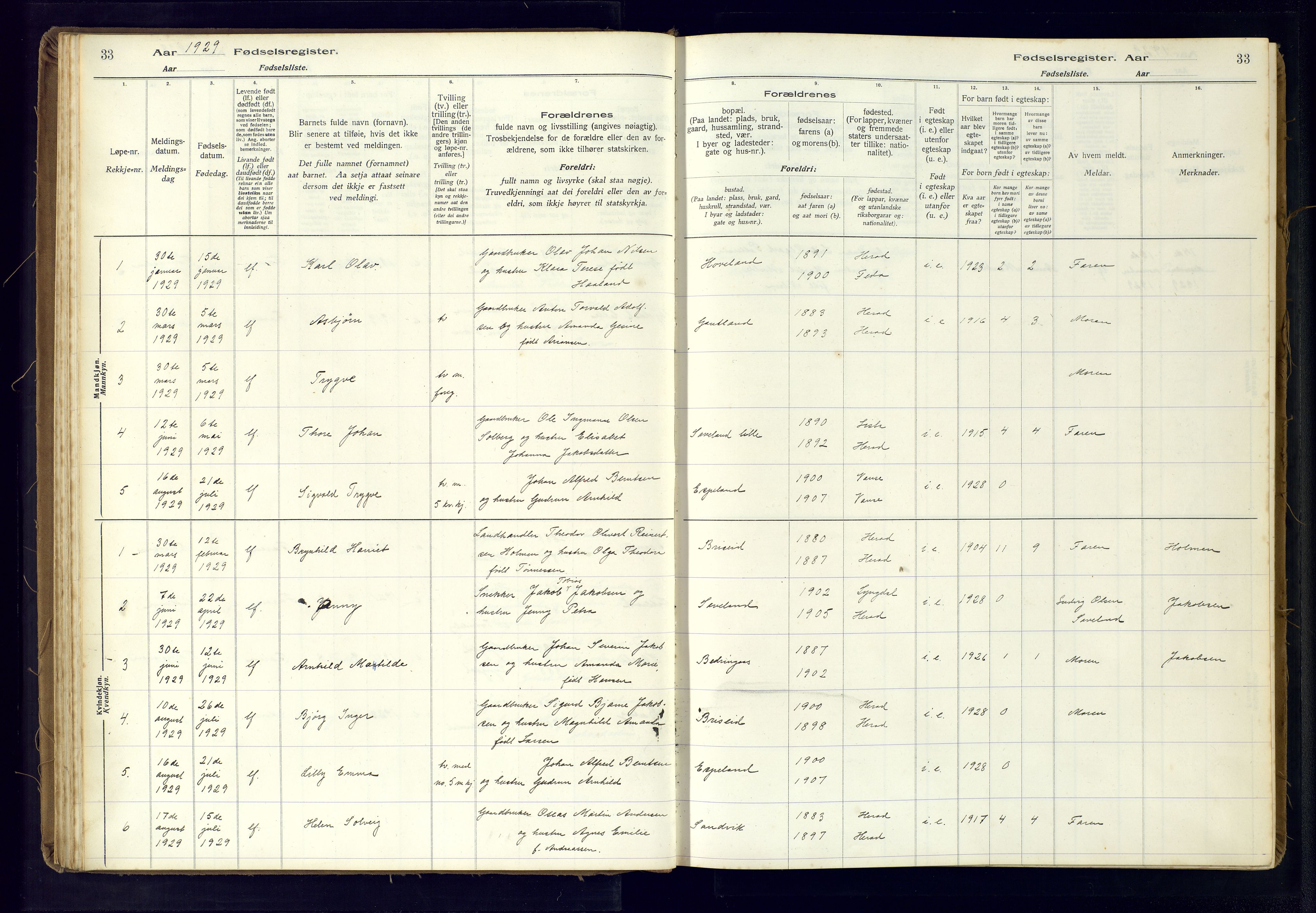 Herad sokneprestkontor, SAK/1111-0018/J/Ja/L0001: Fødselsregister nr. A-VI-12, 1916-1981, s. 33