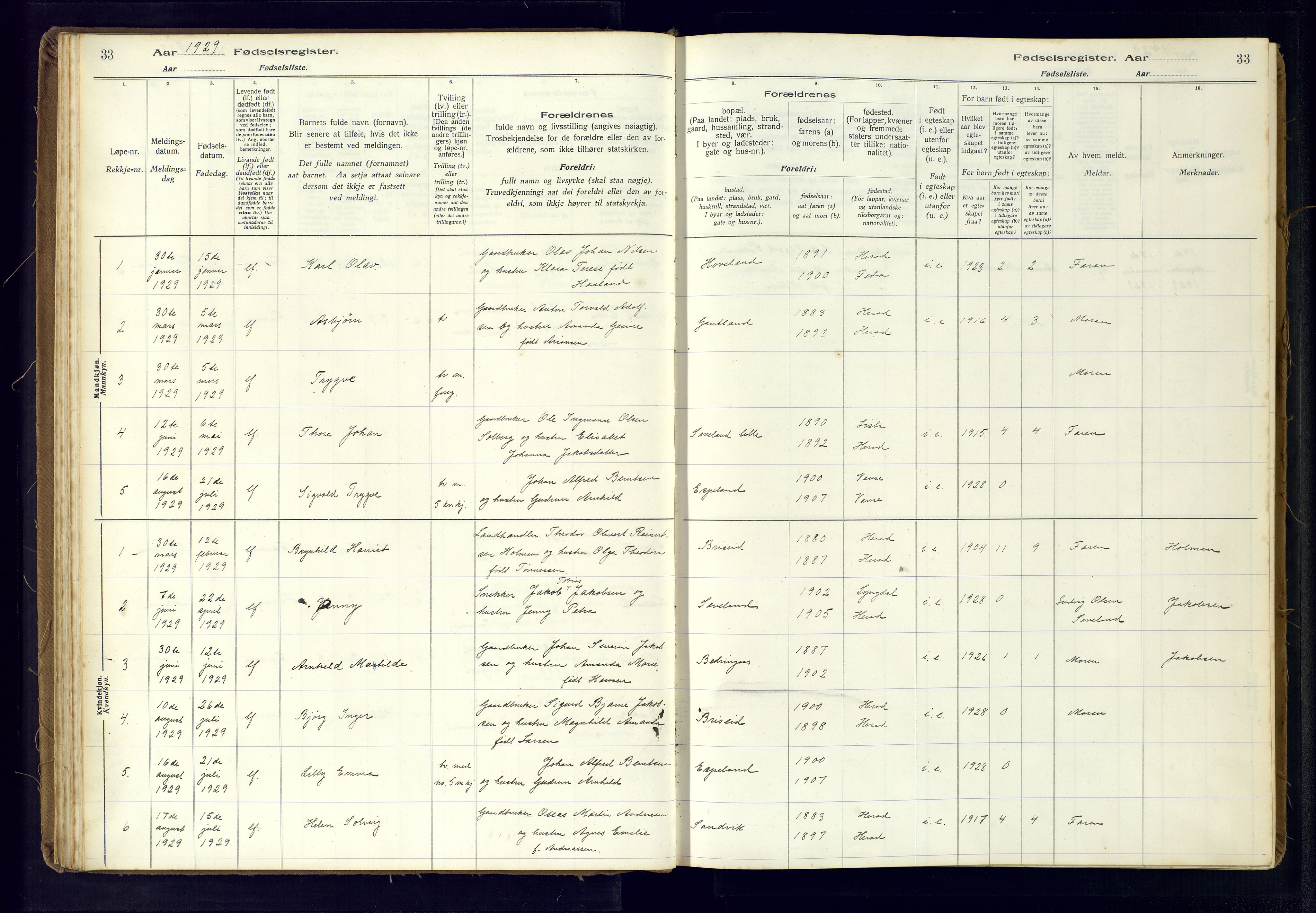 Herad sokneprestkontor, AV/SAK-1111-0018/J/Ja/L0001: Fødselsregister nr. A-VI-12, 1916-1981, s. 33
