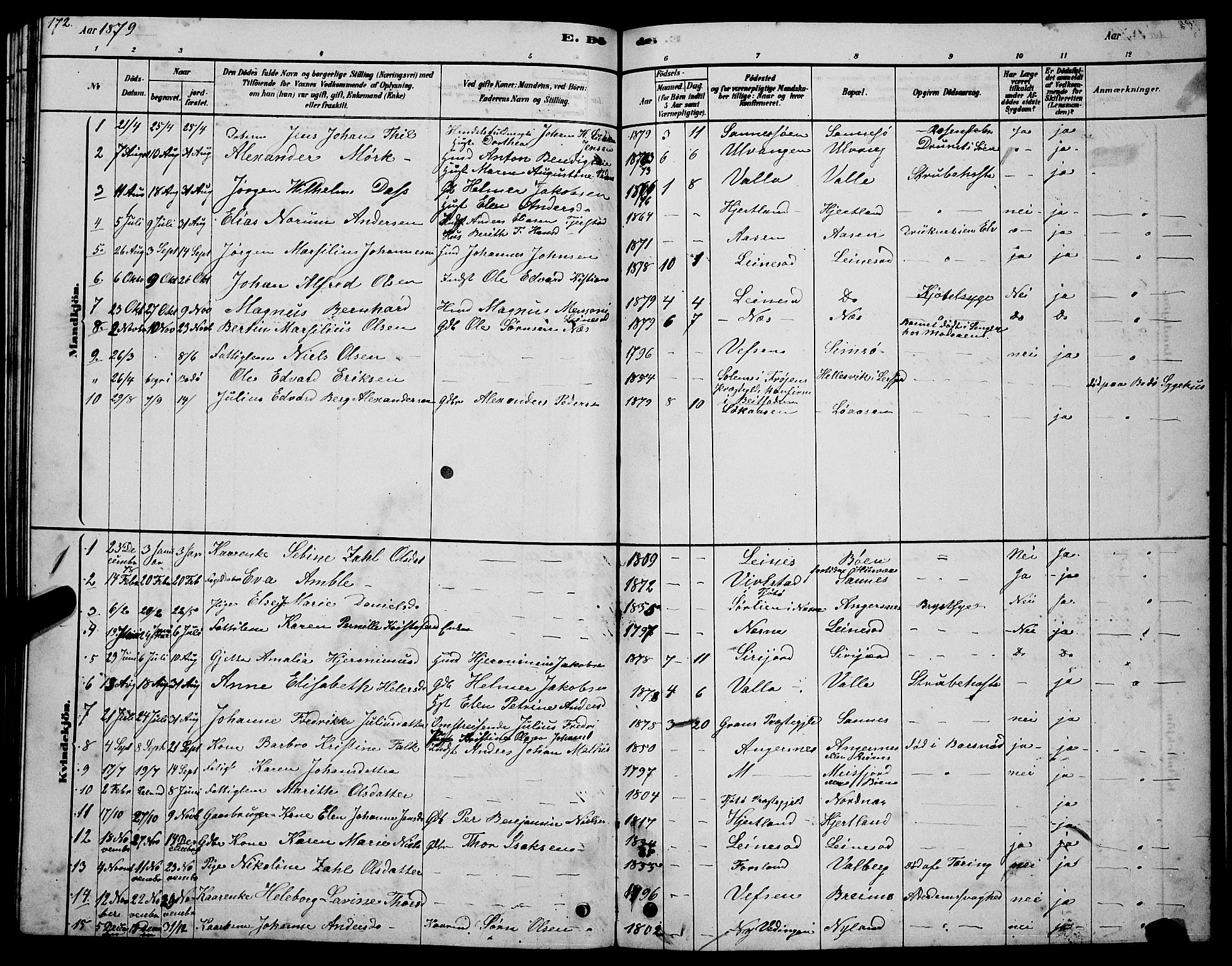 Ministerialprotokoller, klokkerbøker og fødselsregistre - Nordland, AV/SAT-A-1459/831/L0477: Klokkerbok nr. 831C04, 1878-1897, s. 172