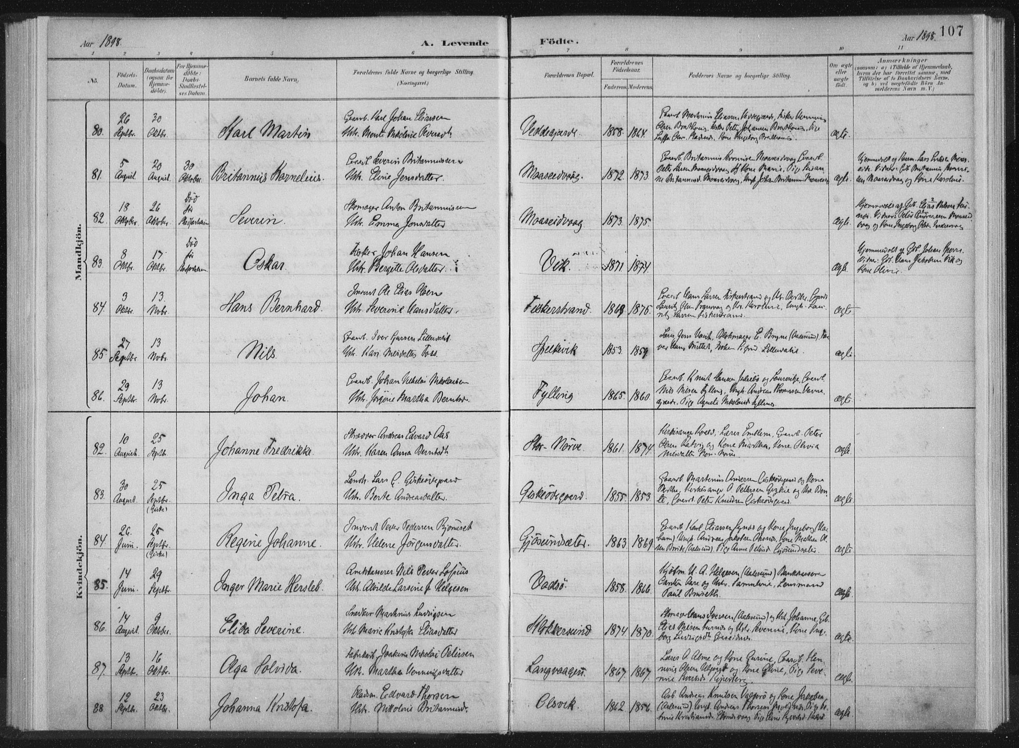 Ministerialprotokoller, klokkerbøker og fødselsregistre - Møre og Romsdal, AV/SAT-A-1454/528/L0405: Ministerialbok nr. 528A14, 1891-1906, s. 107