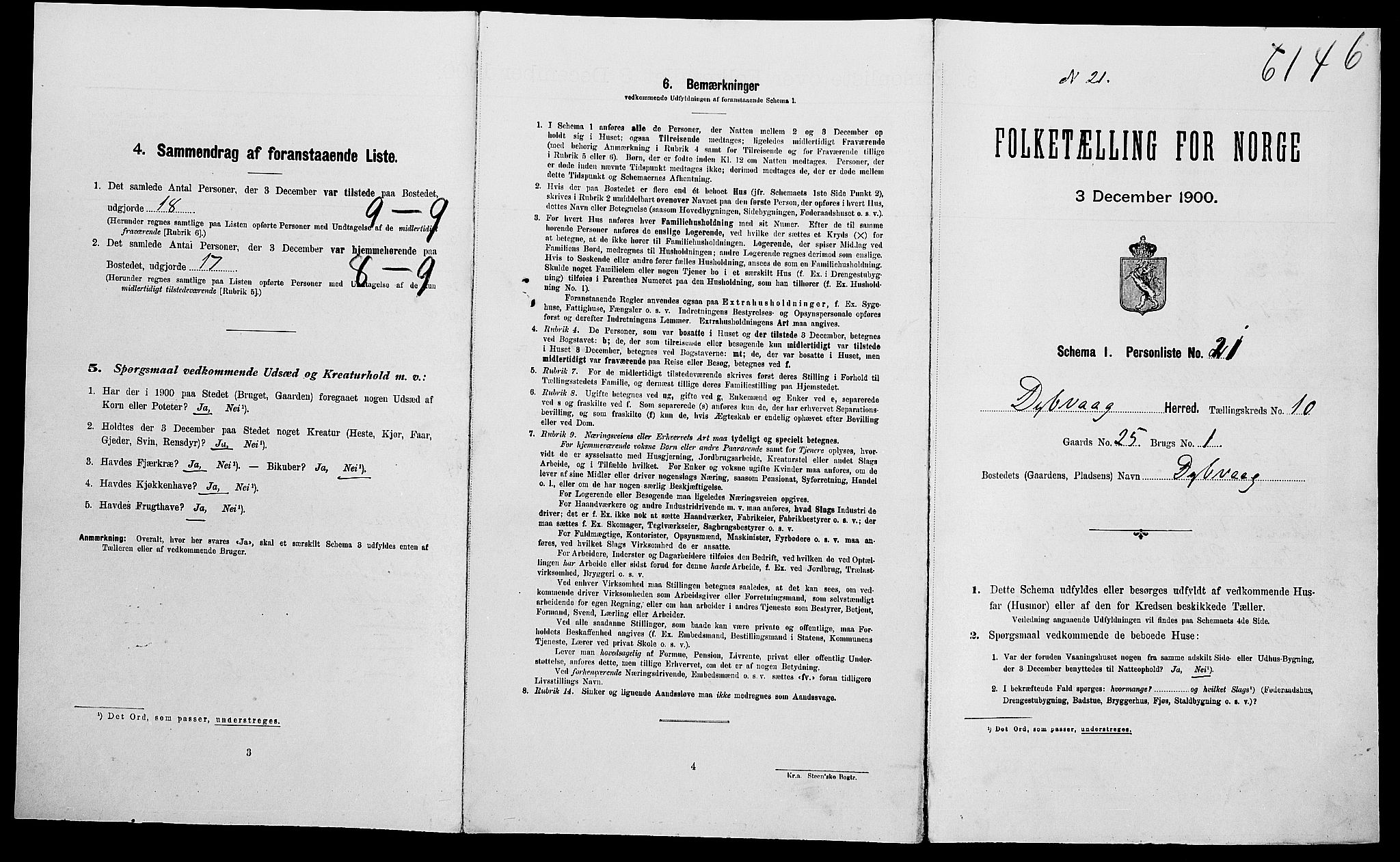 SAK, Folketelling 1900 for 0915 Dypvåg herred, 1900, s. 1102