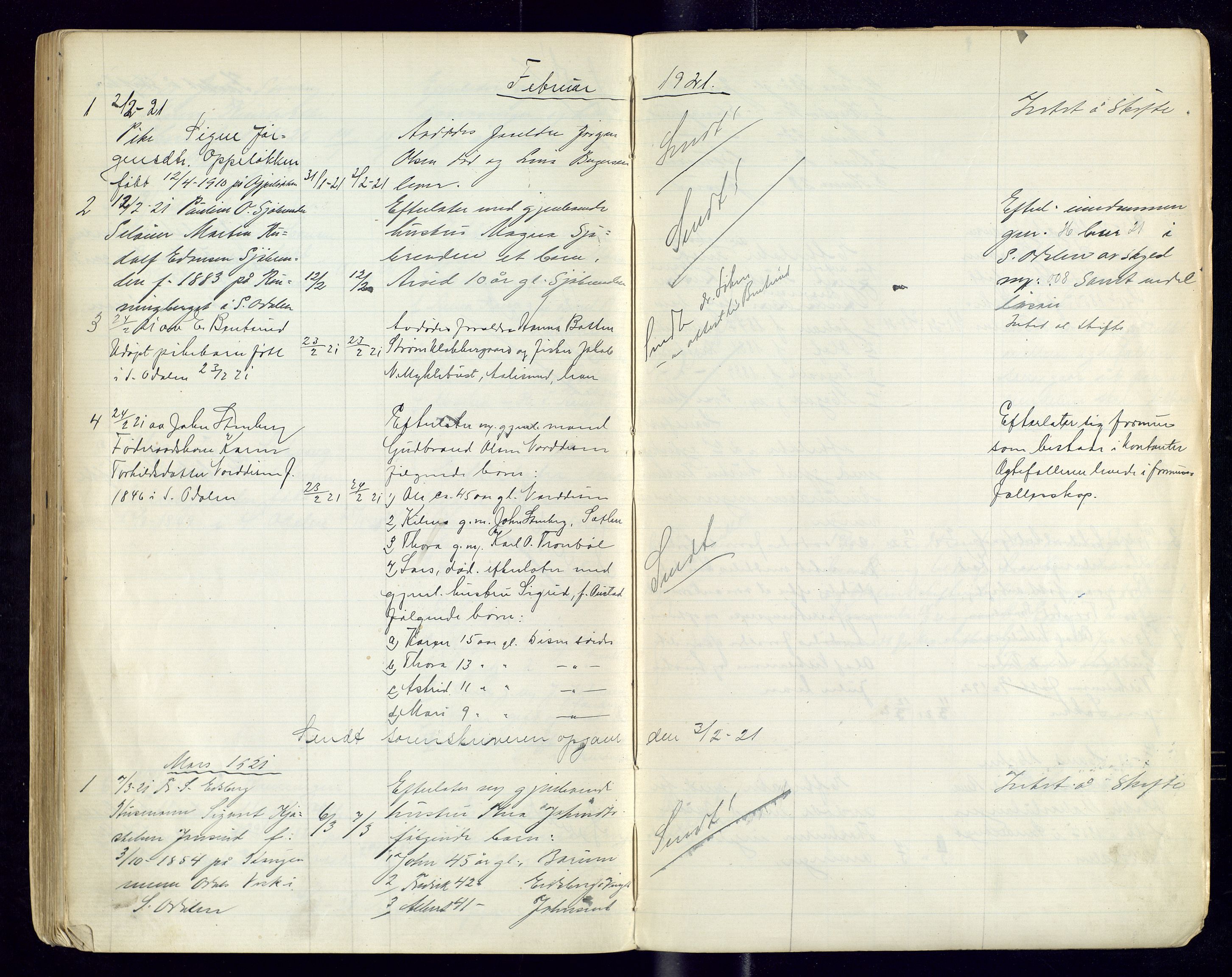 Sør-Odal lensmannskontor, AV/SAH-LHS-022/H/Hb/L0002/0002: Protokoller over anmeldte dødsfall / Protokoll over anmeldte dødsfall, 1915-1921