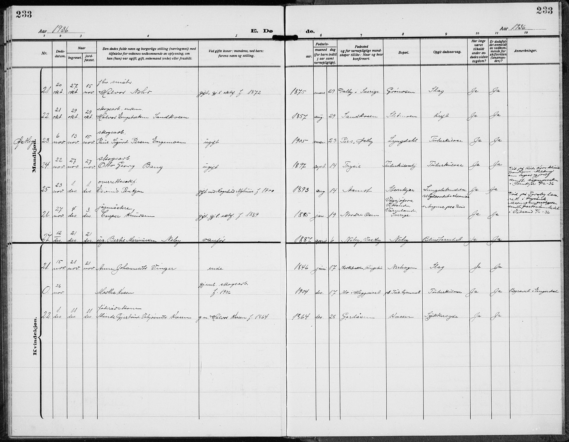 Trysil prestekontor, AV/SAH-PREST-046/H/Ha/Hab/L0010: Klokkerbok nr. 10, 1917-1937, s. 233