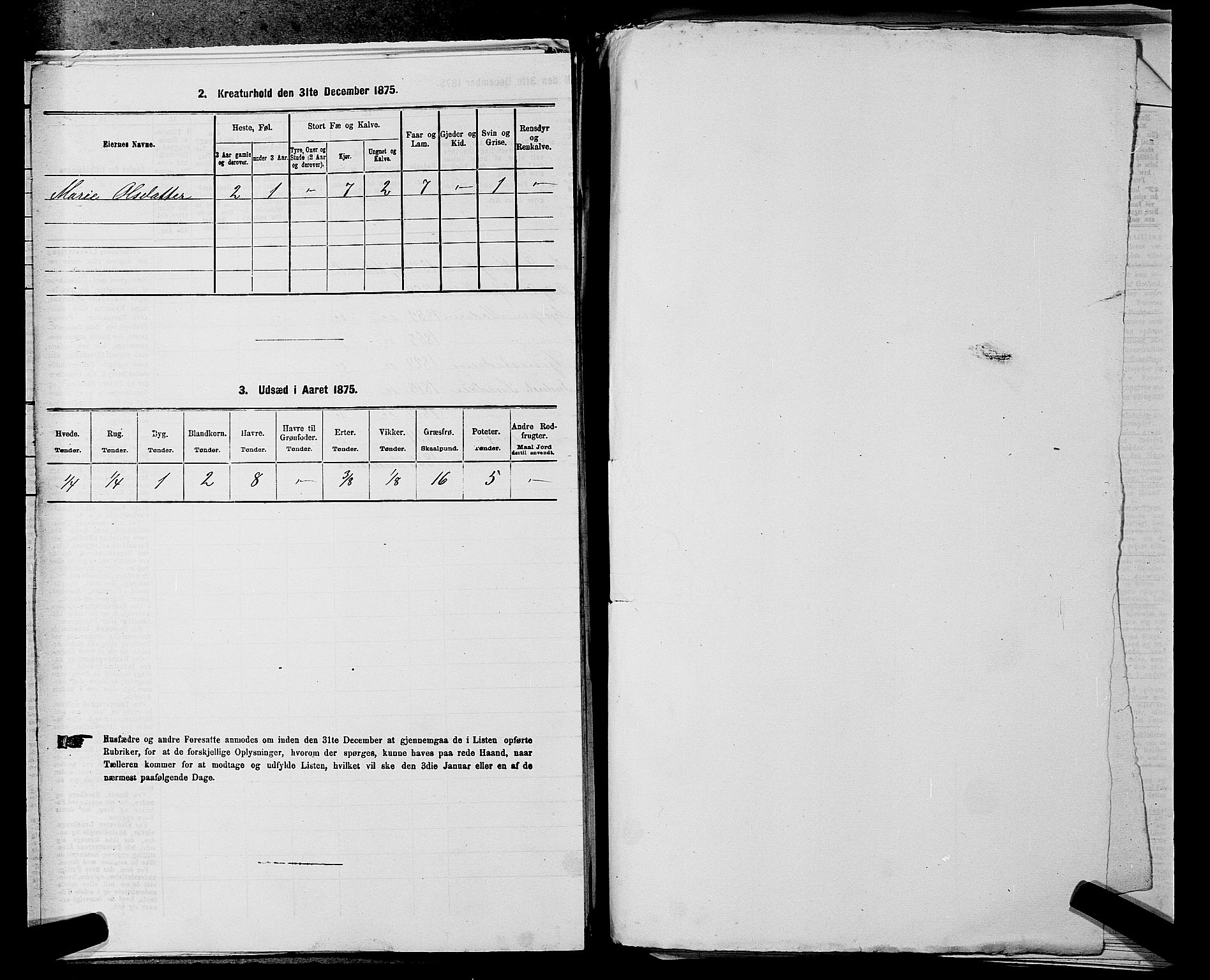 RA, Folketelling 1875 for 0238P Nannestad prestegjeld, 1875, s. 363