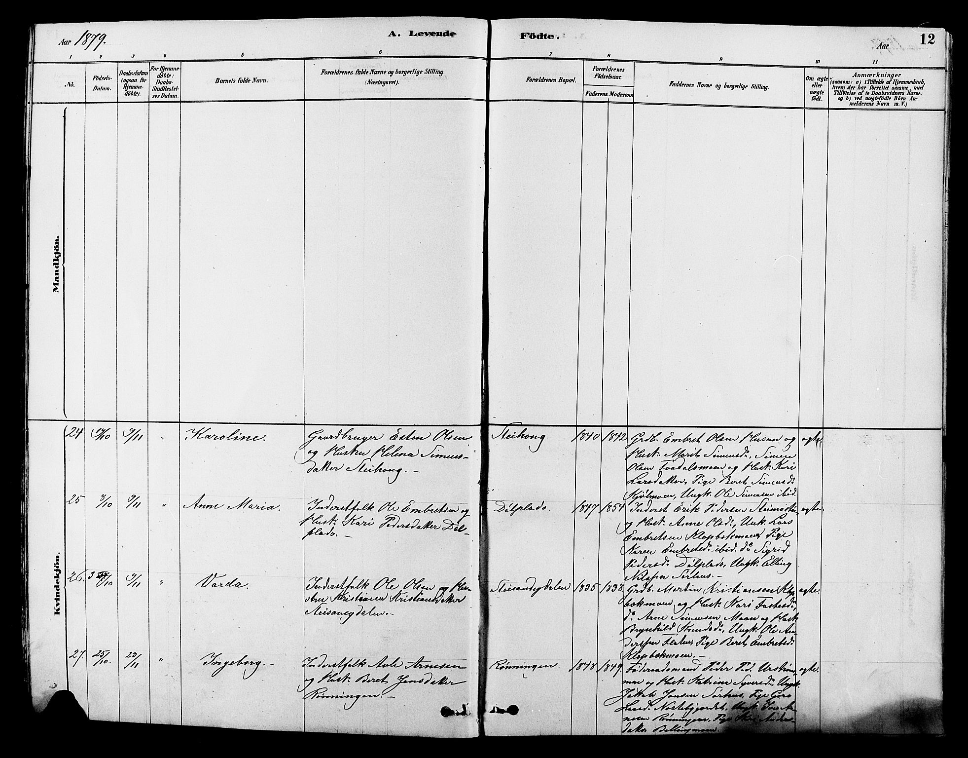 Alvdal prestekontor, AV/SAH-PREST-060/H/Ha/Hab/L0003: Klokkerbok nr. 3, 1878-1907, s. 12