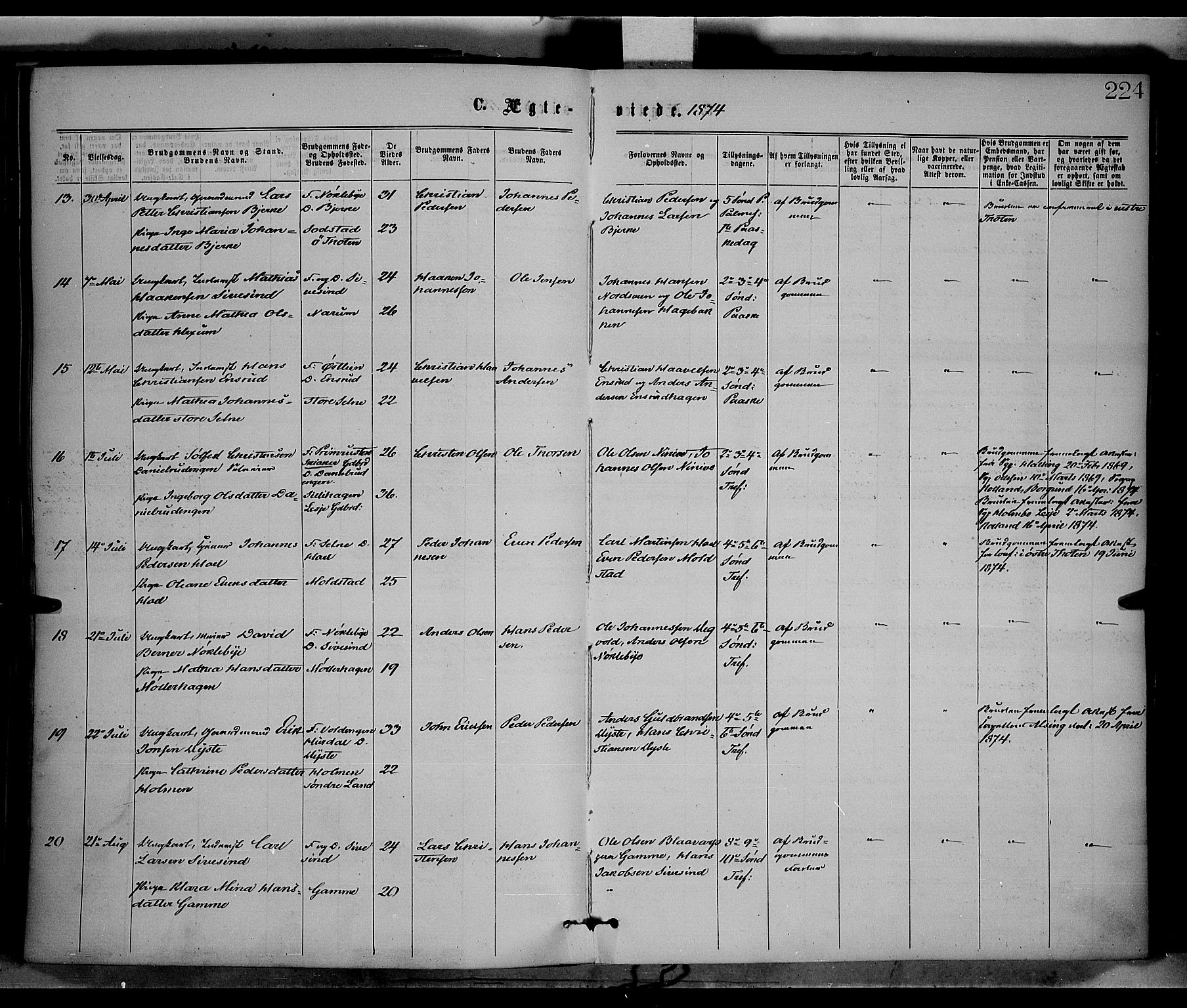 Vestre Toten prestekontor, AV/SAH-PREST-108/H/Ha/Haa/L0008: Ministerialbok nr. 8, 1870-1877, s. 224