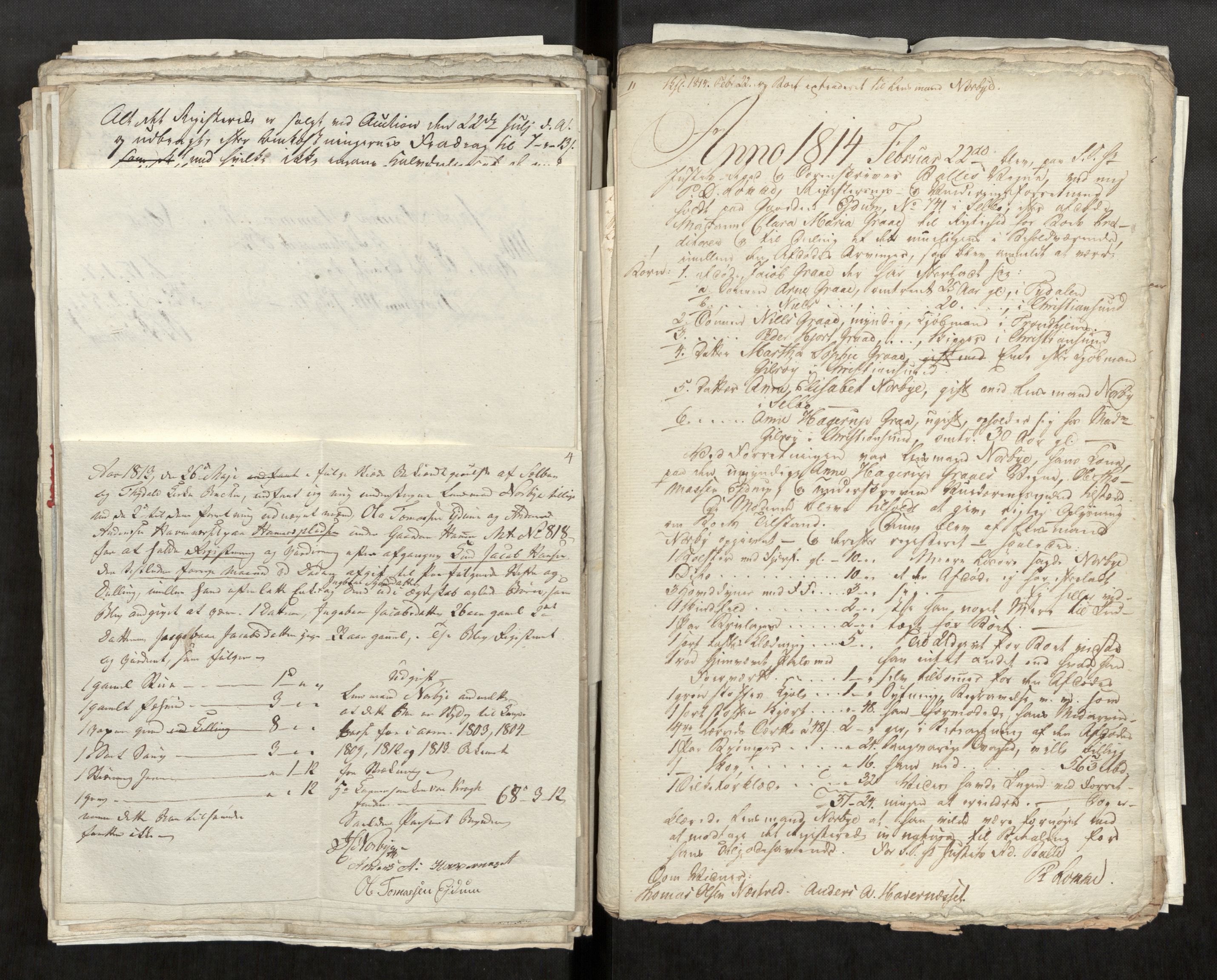 Strinda og Selbu sorenskriveri, AV/SAT-A-0015/3/3C/L0006: Registreringer i tilfeller der skifte ikke er holdt, 1805-1821
