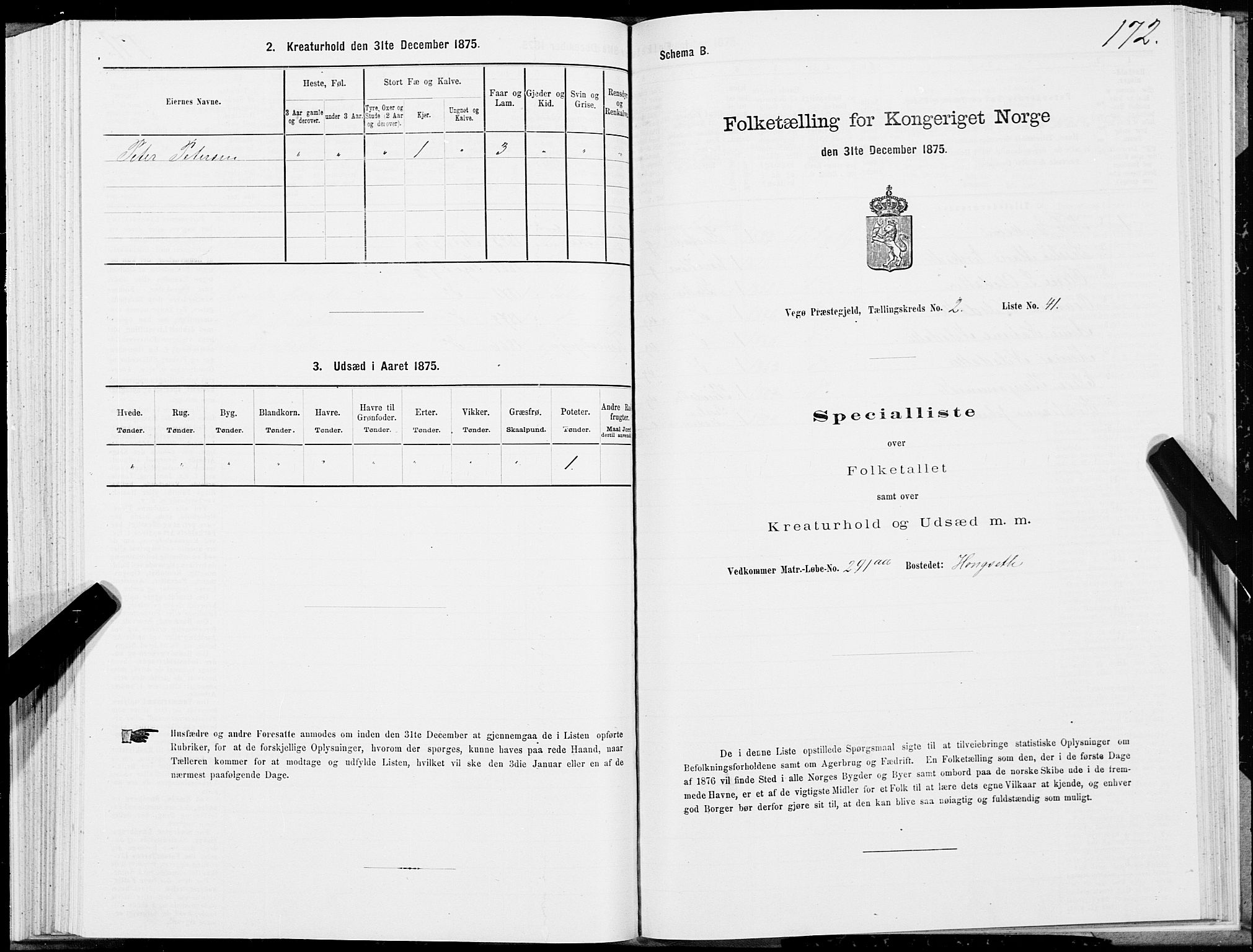 SAT, Folketelling 1875 for 1815P Vega prestegjeld, 1875, s. 1172