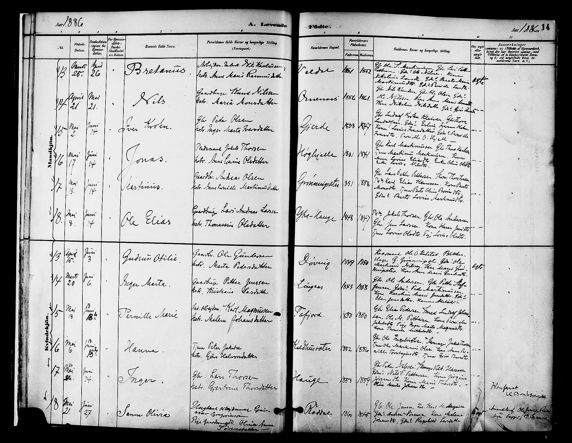 Ministerialprotokoller, klokkerbøker og fødselsregistre - Møre og Romsdal, AV/SAT-A-1454/519/L0255: Ministerialbok nr. 519A14, 1884-1908, s. 14