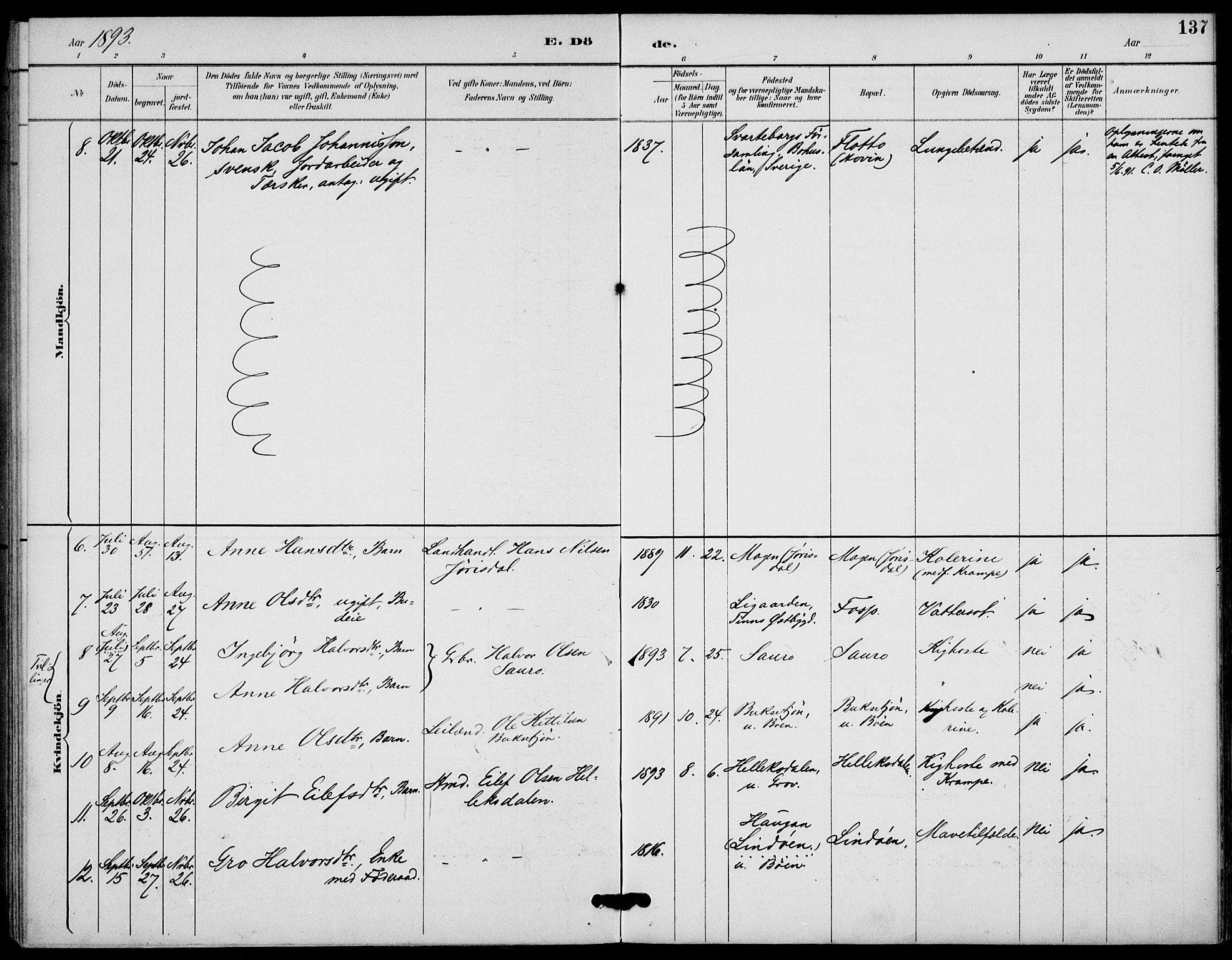 Gransherad kirkebøker, AV/SAKO-A-267/F/Fb/L0005: Ministerialbok nr. II 5, 1887-1916, s. 137