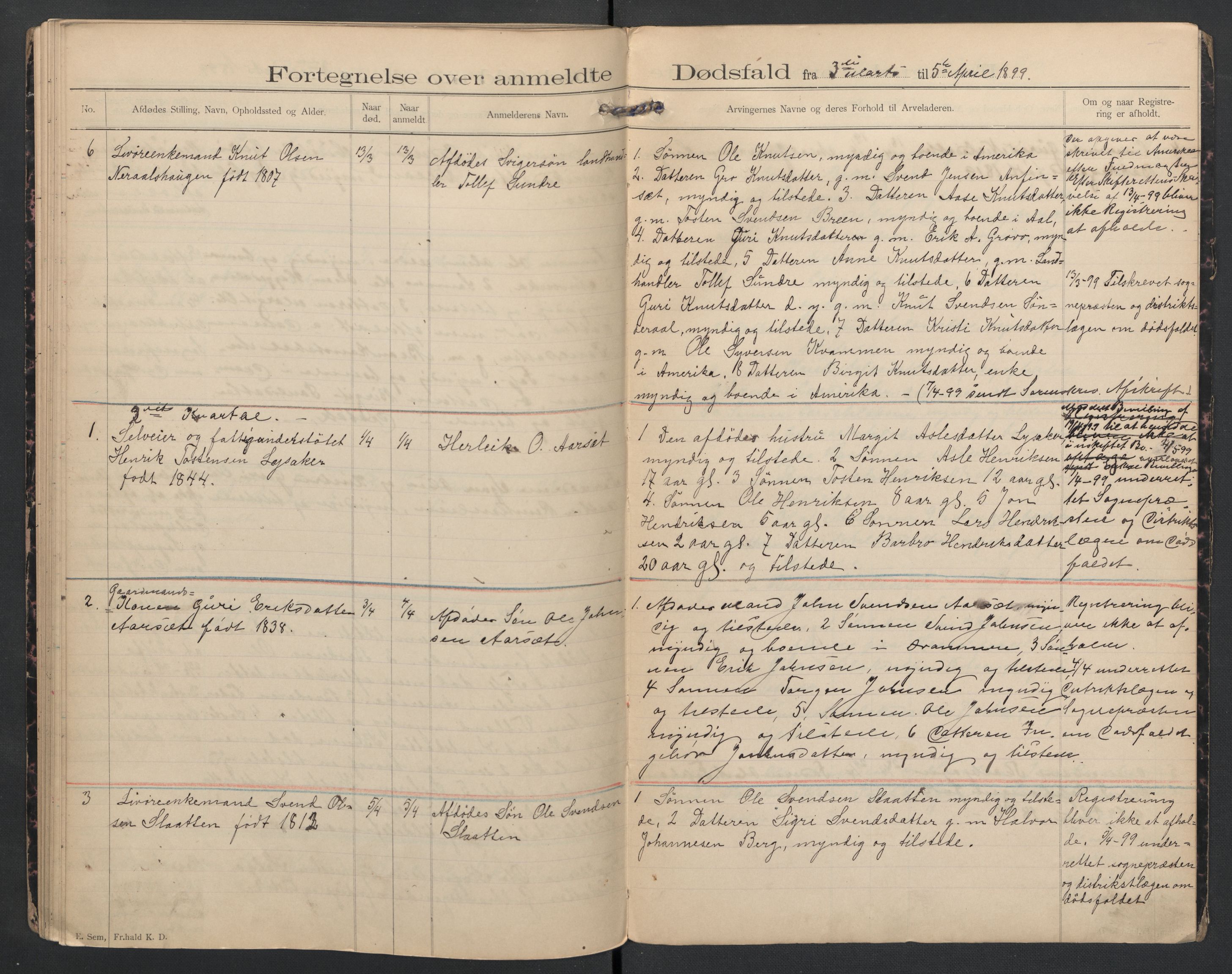 Hol lensmannskontor, AV/SAKO-A-512/H/Ha/L0002: Dødsanmeldelsesprotokoll, 1893-1899