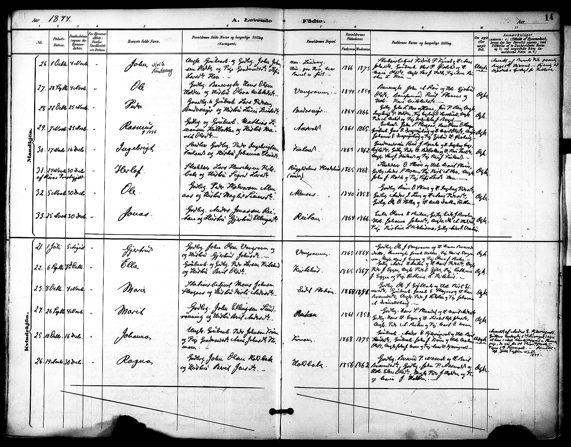 Ministerialprotokoller, klokkerbøker og fødselsregistre - Sør-Trøndelag, AV/SAT-A-1456/686/L0984: Ministerialbok nr. 686A02, 1891-1906, s. 14